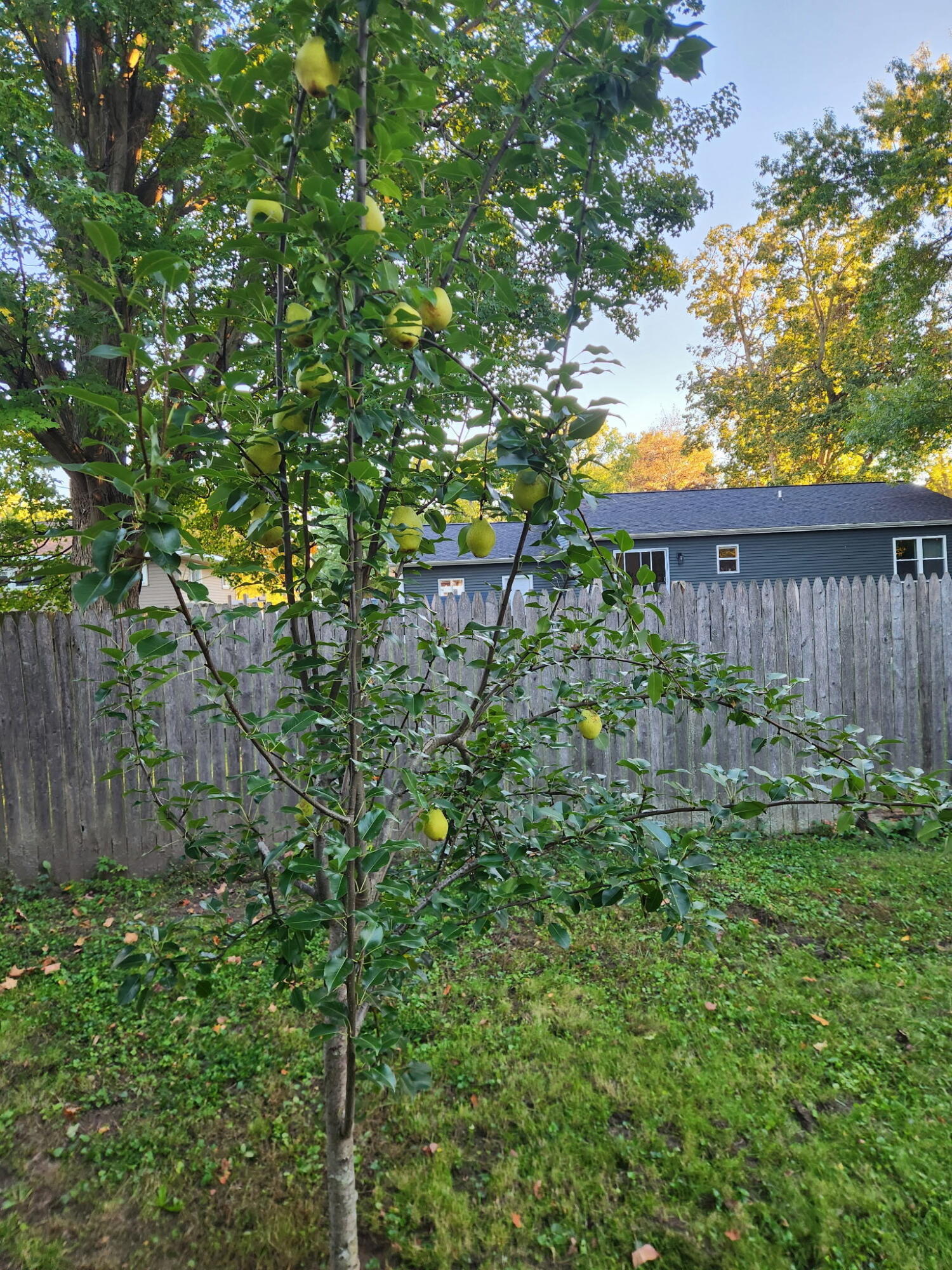 130 E Sycamore Street Property Photo 21