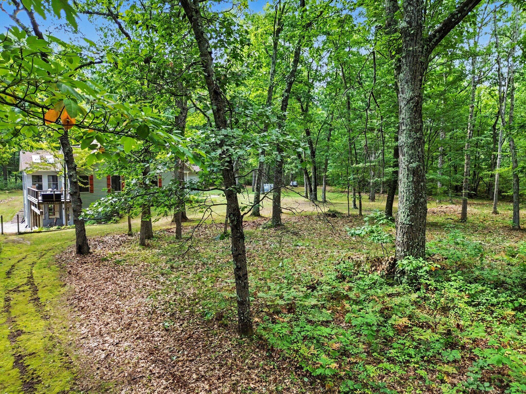 11404 Lorenson Road Property Photo 37