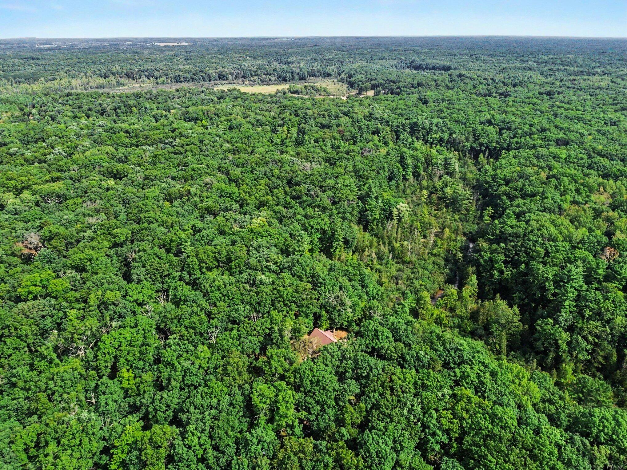 11404 Lorenson Road Property Photo 38