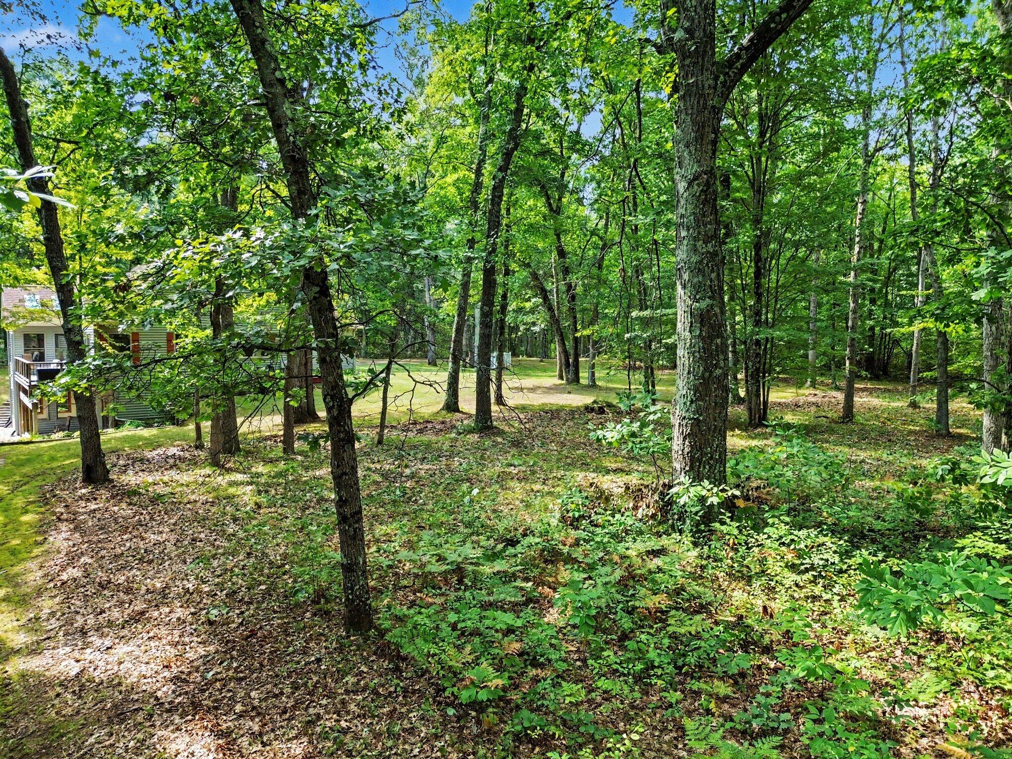 11404 Lorenson Road Property Photo 46