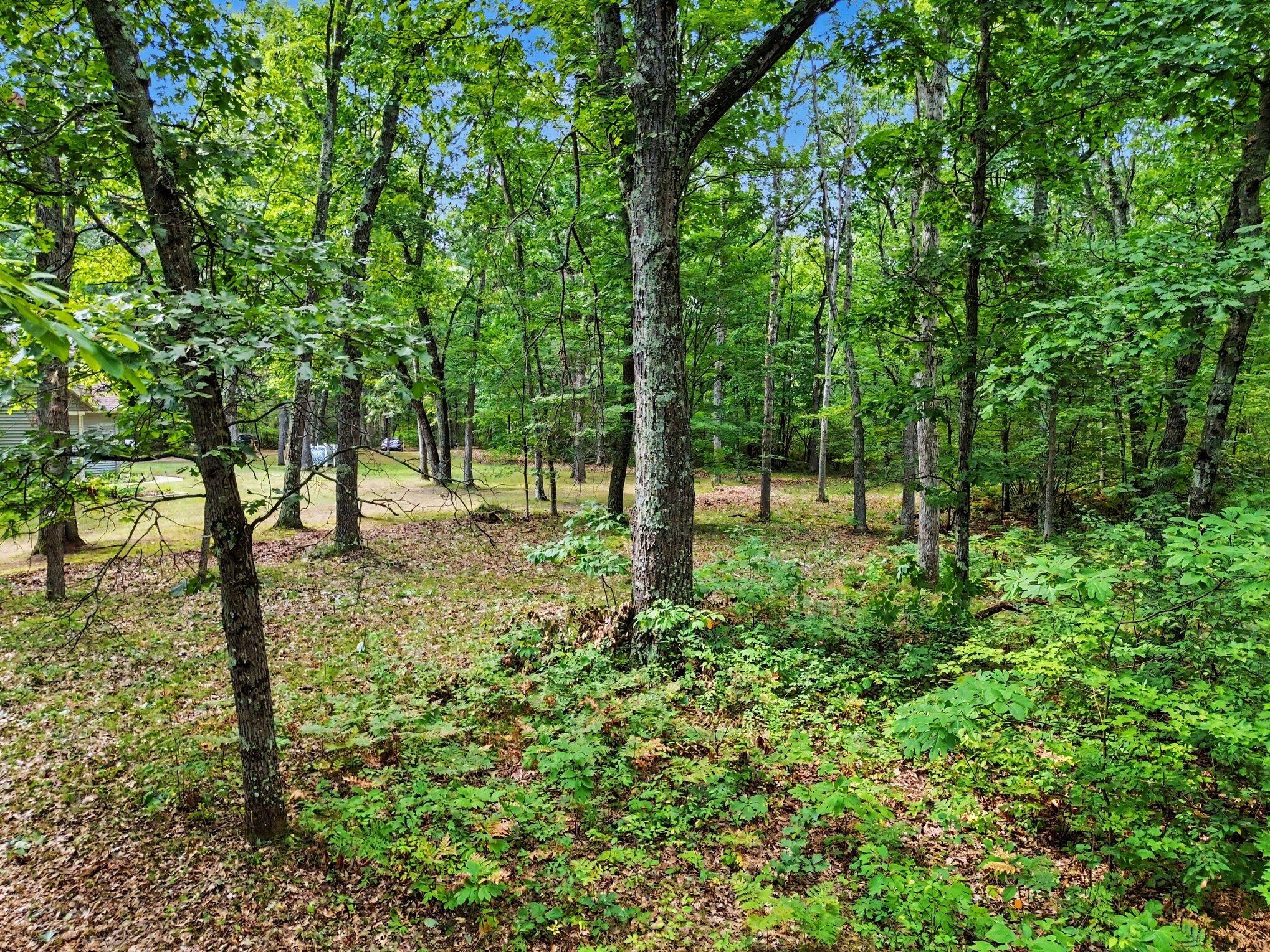 11404 Lorenson Road Property Photo 47