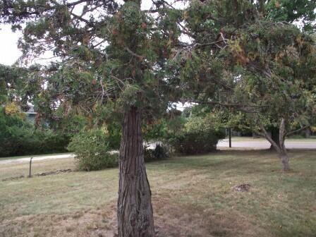 210 N Staffon Street Property Photo 50