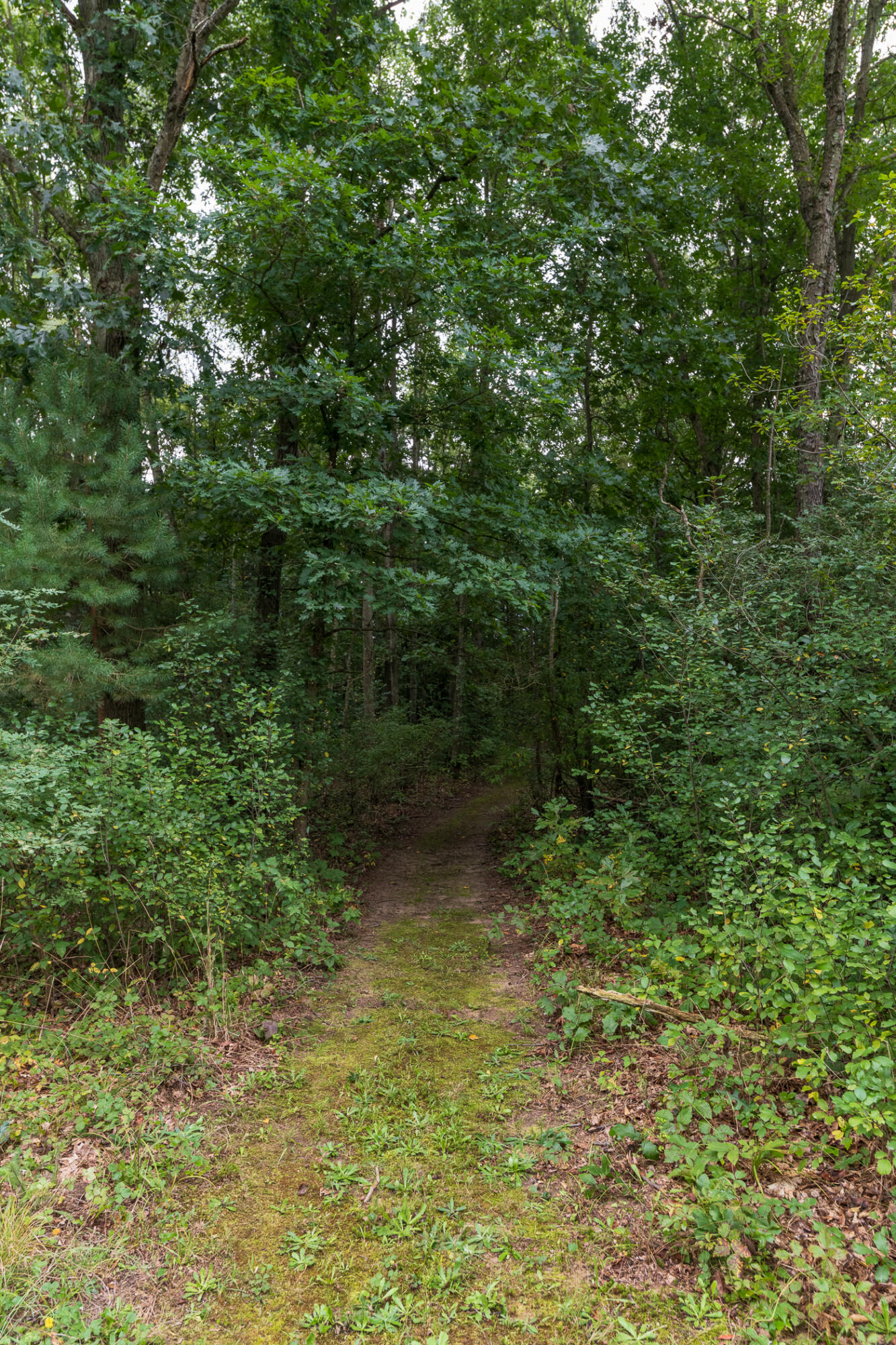 58505 Co Rd 657 Property Photo 70