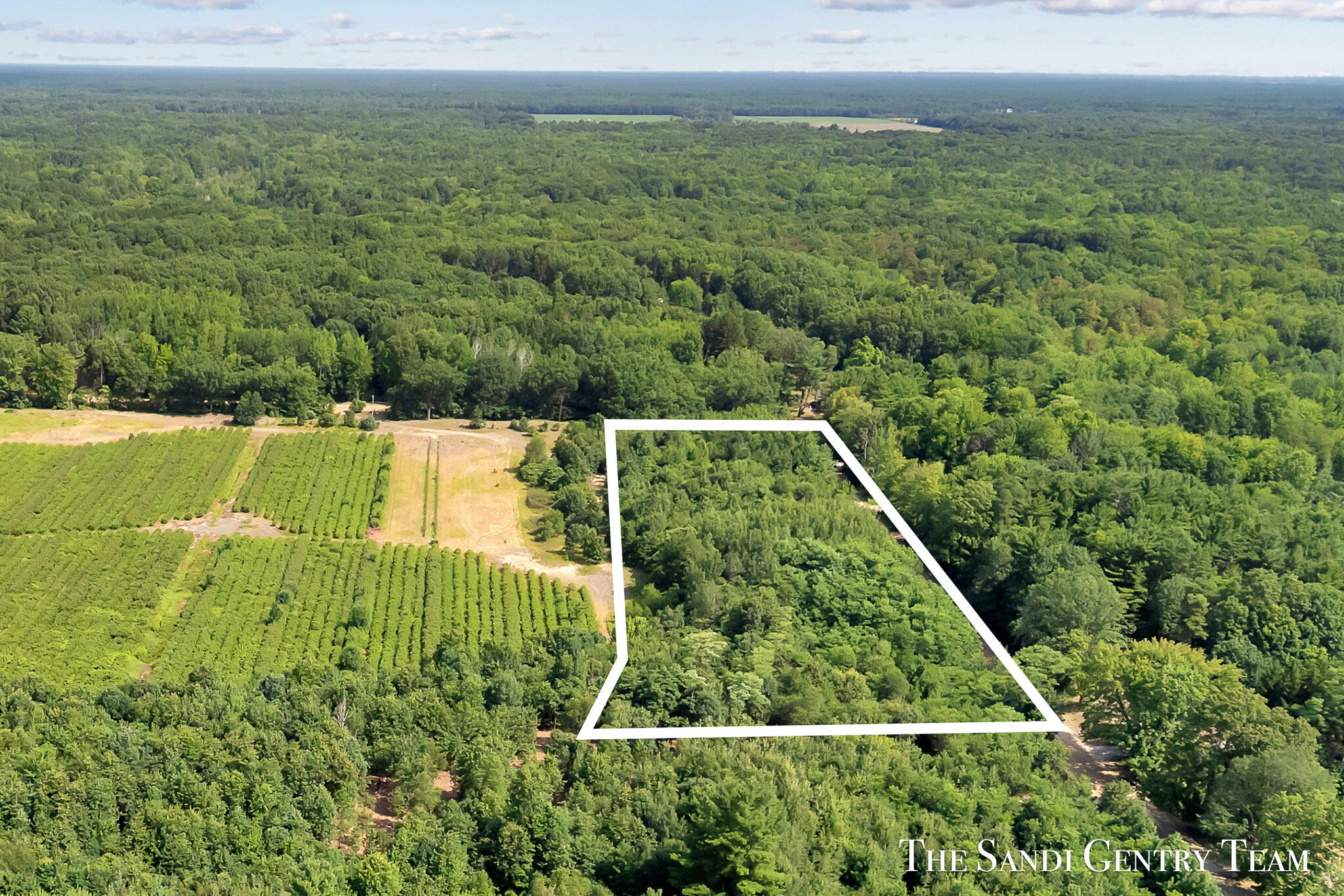 V/L 6.3 Acres Johnson Road Property Photo 1