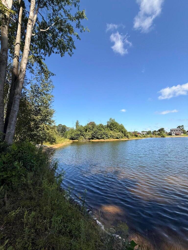 5343 Eagle Pass Drive Property Photo 10