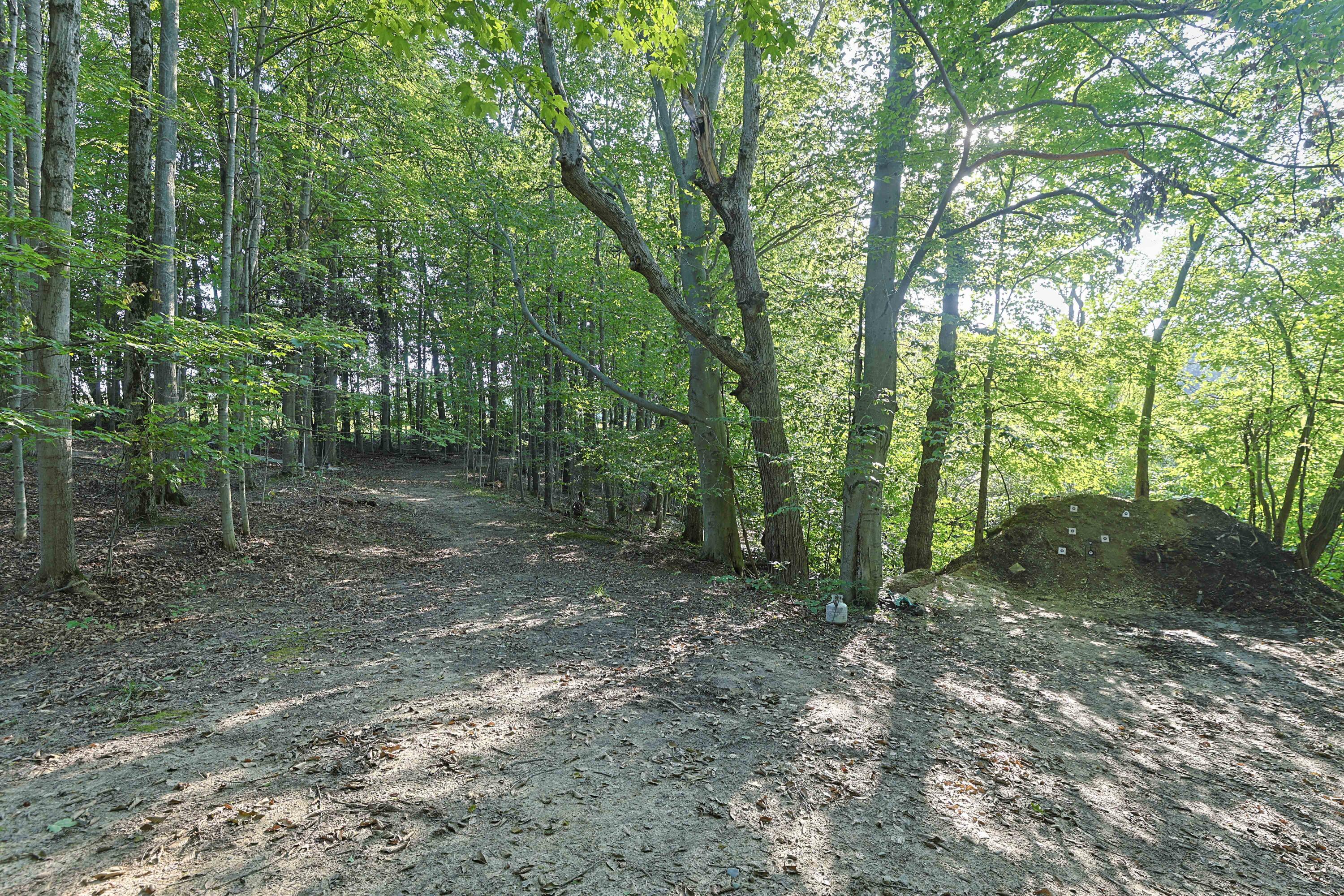 14910 Boyle Lake Road Property Photo 25