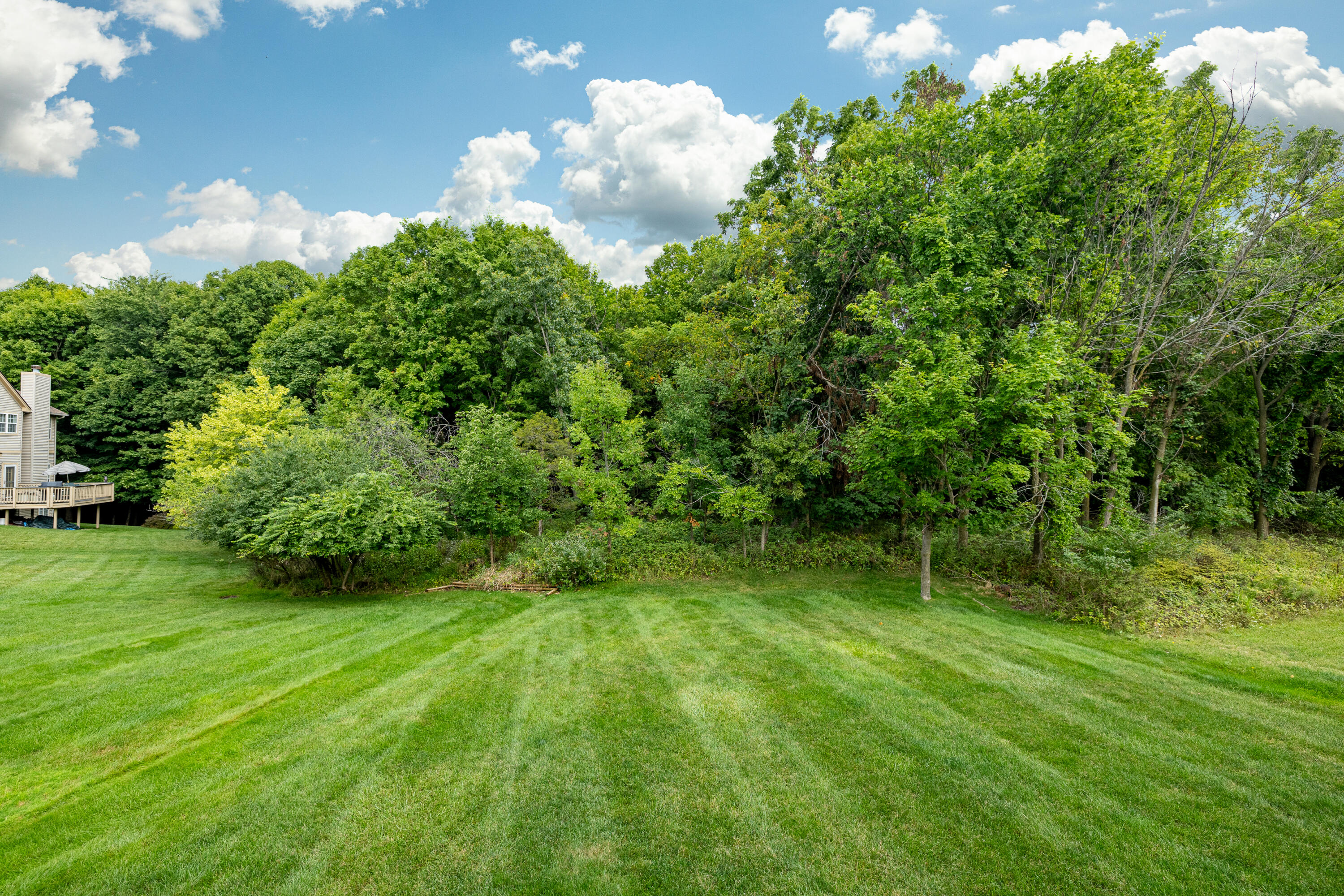 1880 Timber Trail Property Photo 32