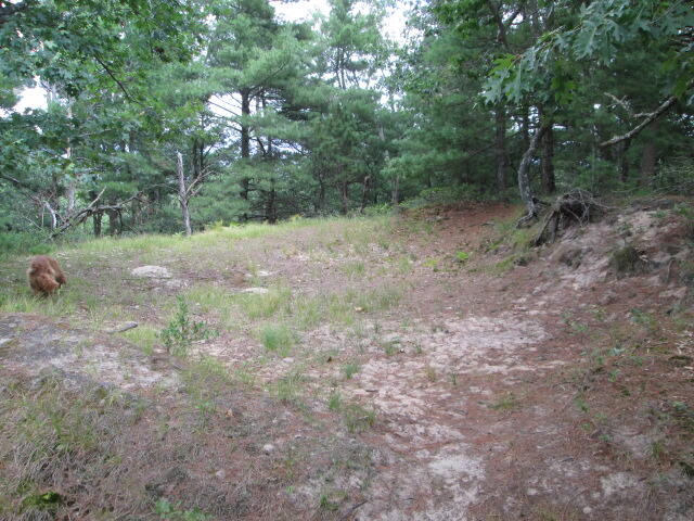 8453 N Perry Avenue Property Photo 13