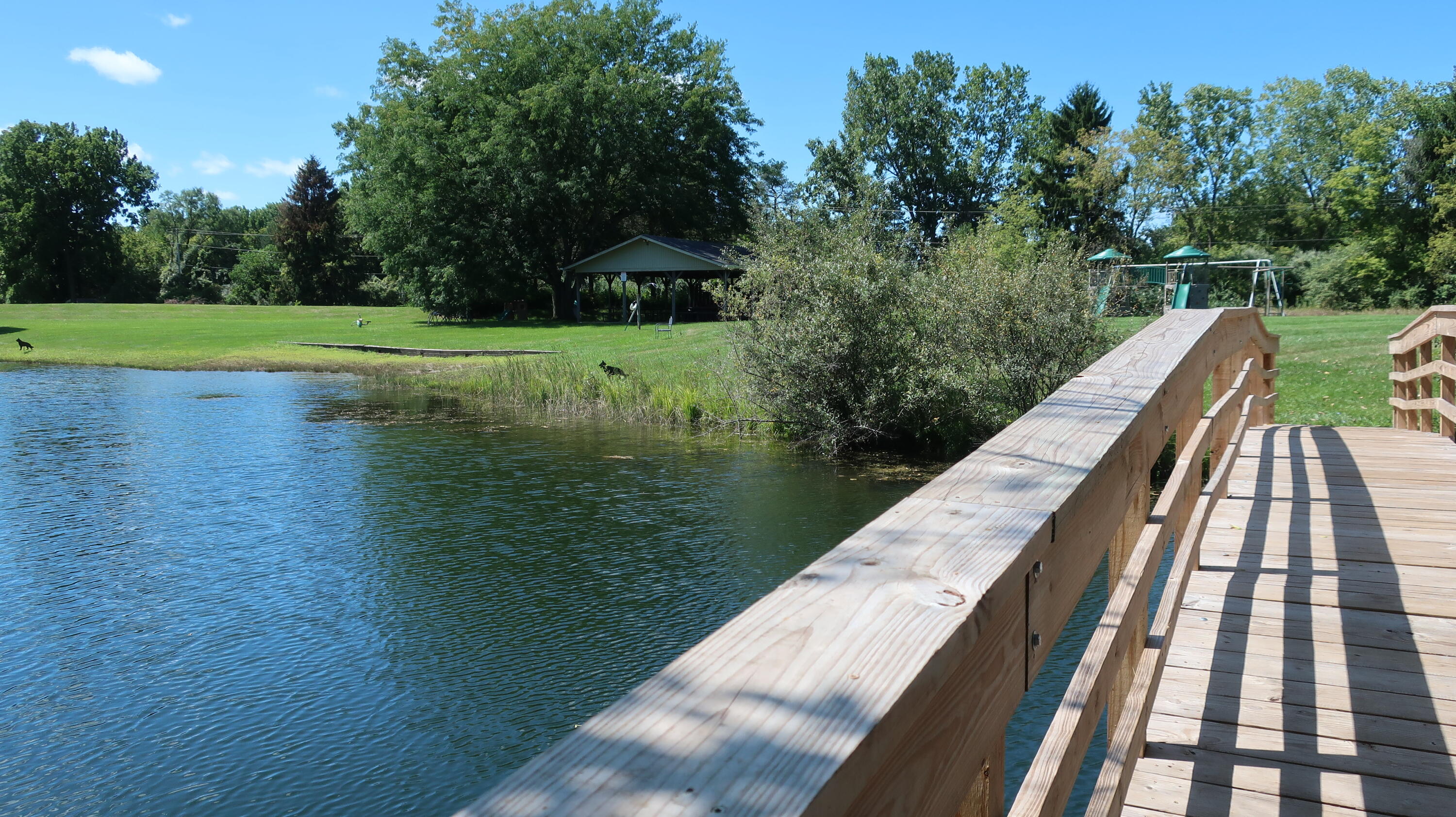 2603 Lone Oak Drive Property Photo 48