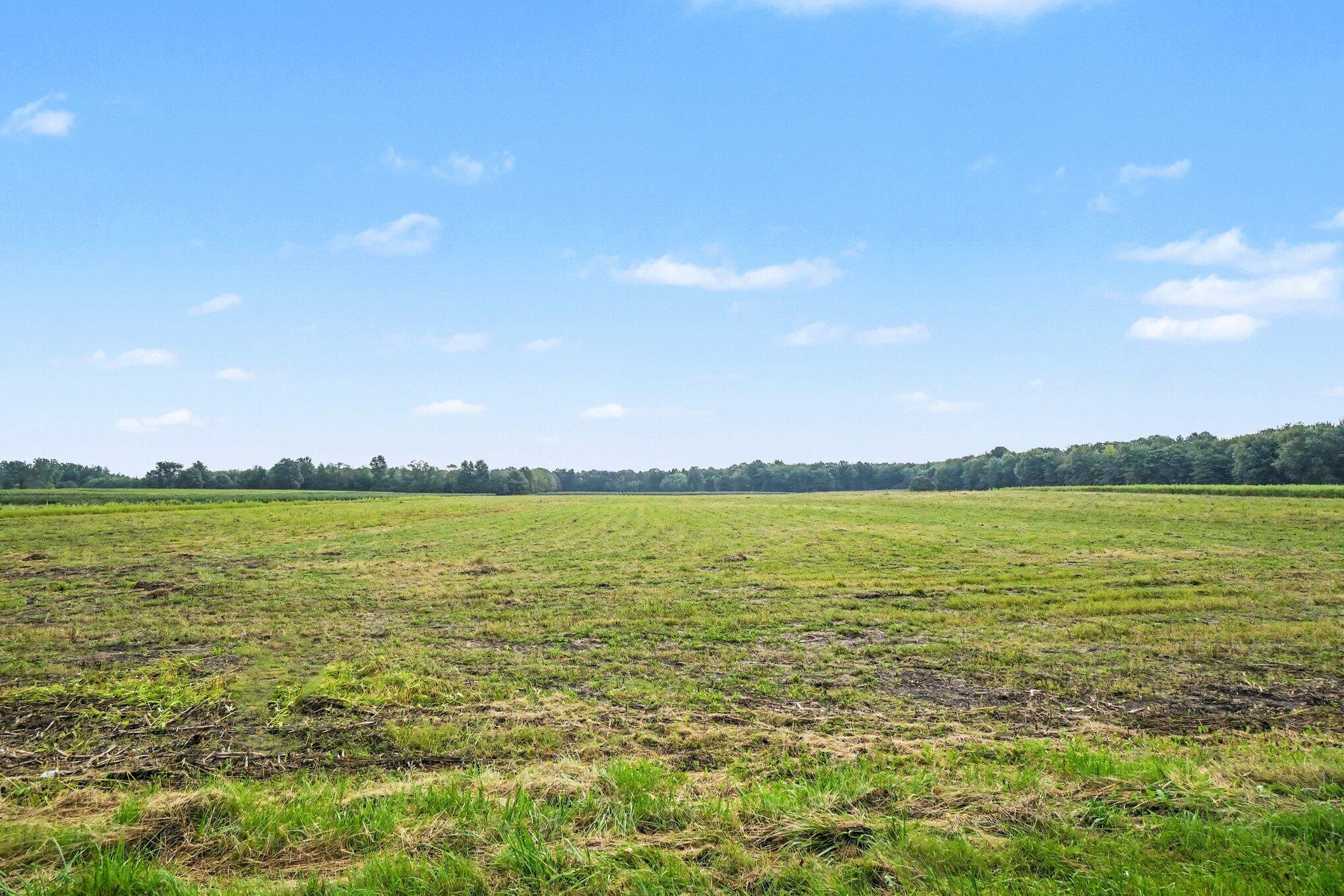 Vl-div-1 County Road 687 Property Photo 4