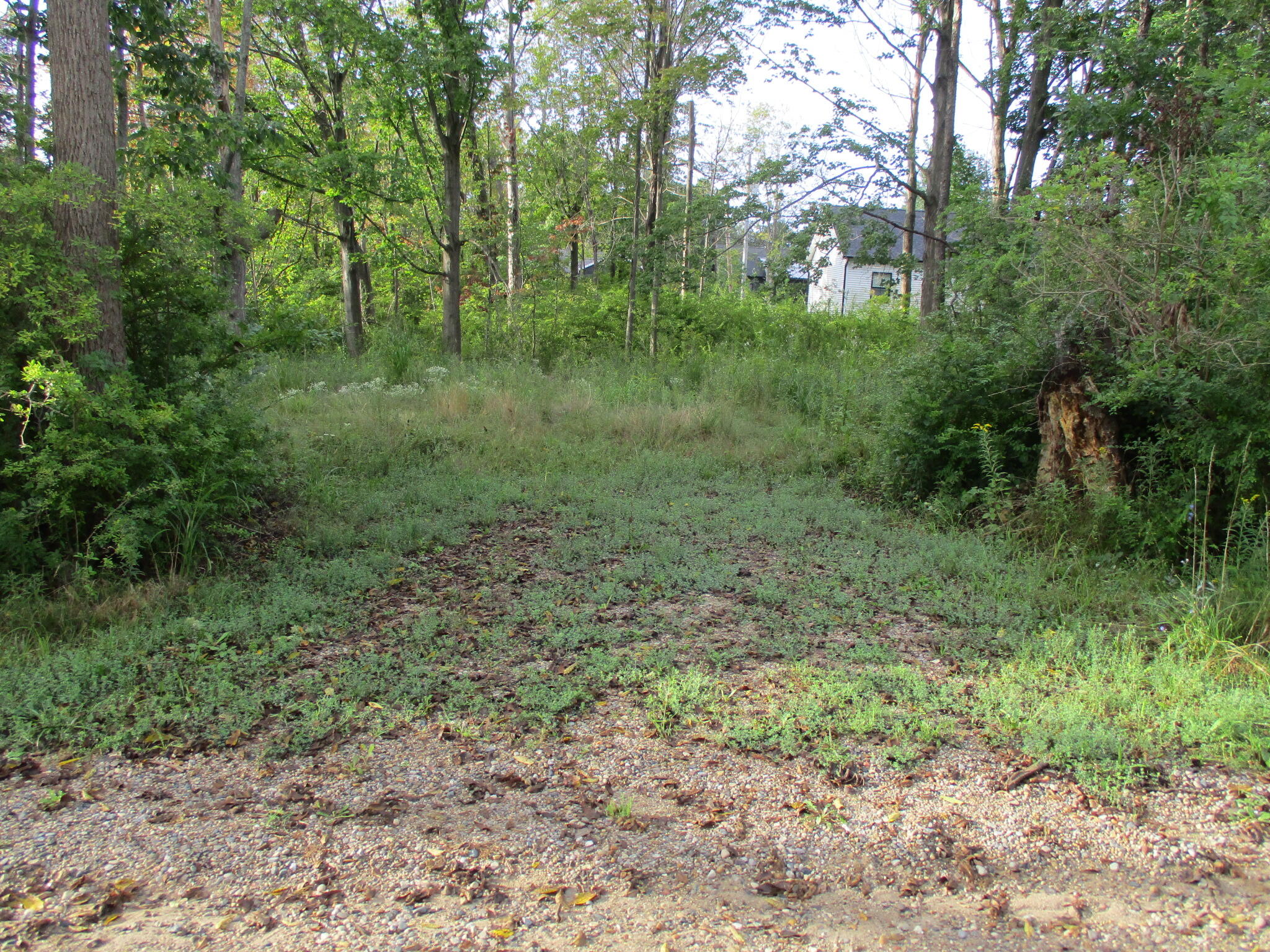 V/l Orchard Road Property Photo 4