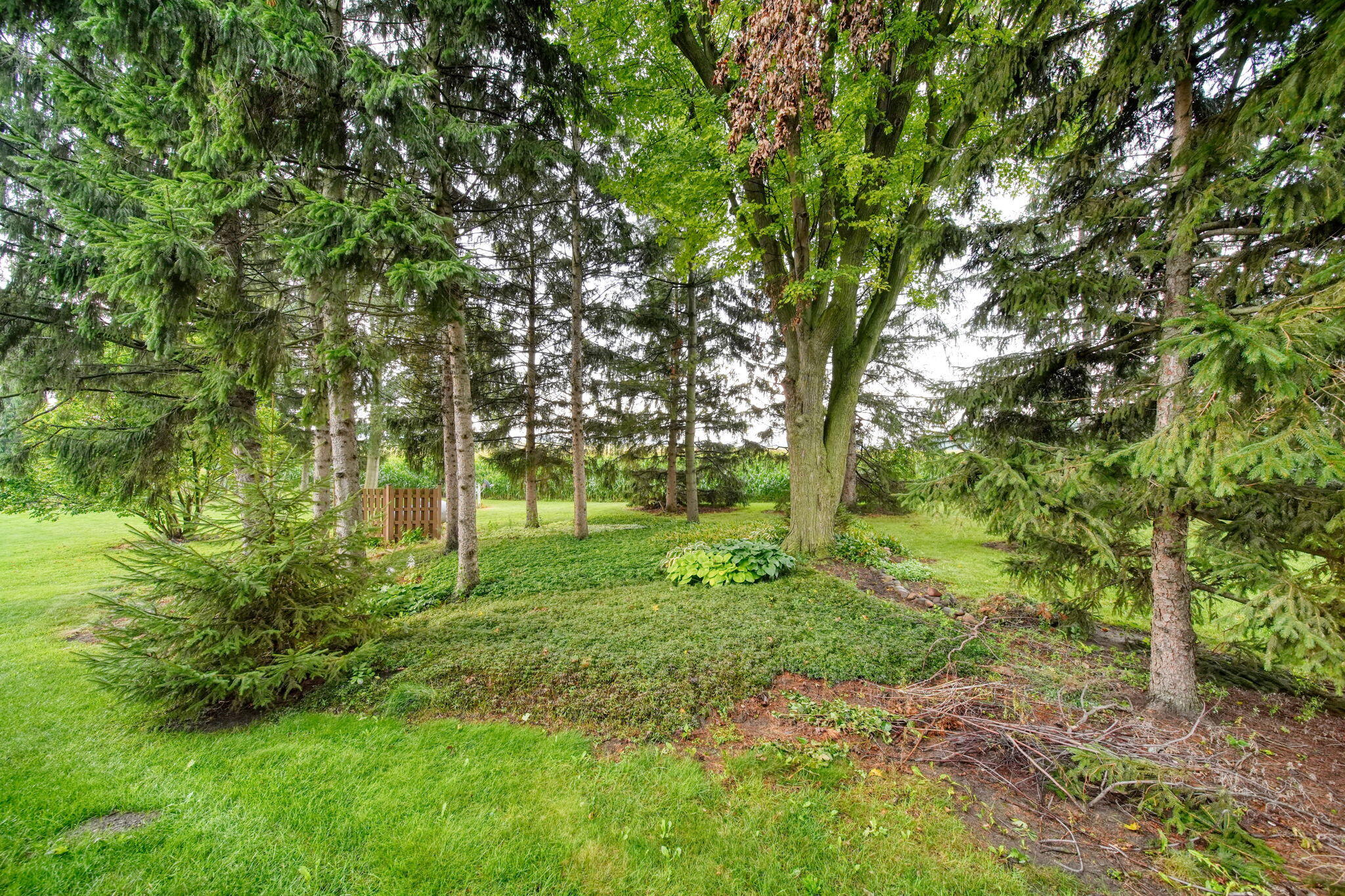 11625 Ridge Highway Property Photo 62