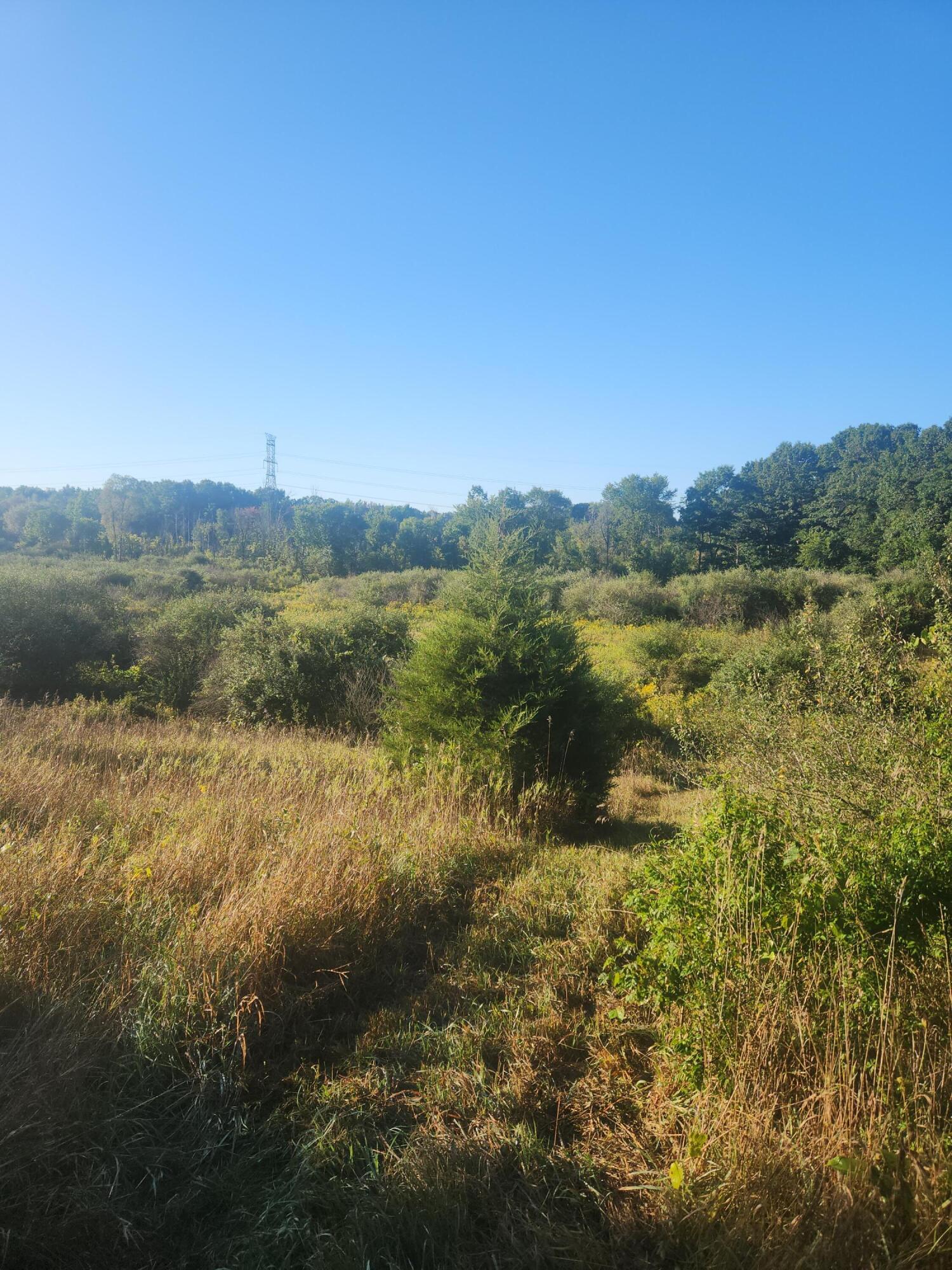 V/l Wise Road Property Photo 1