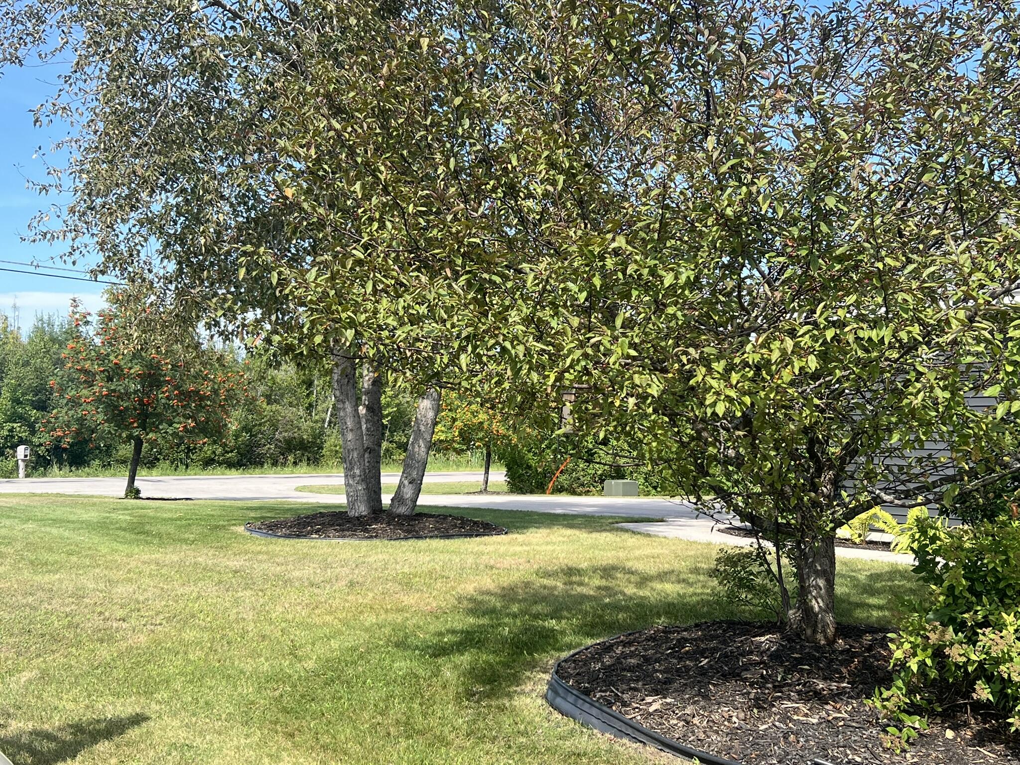 6994 Black Bass Bay Road Property Photo 11