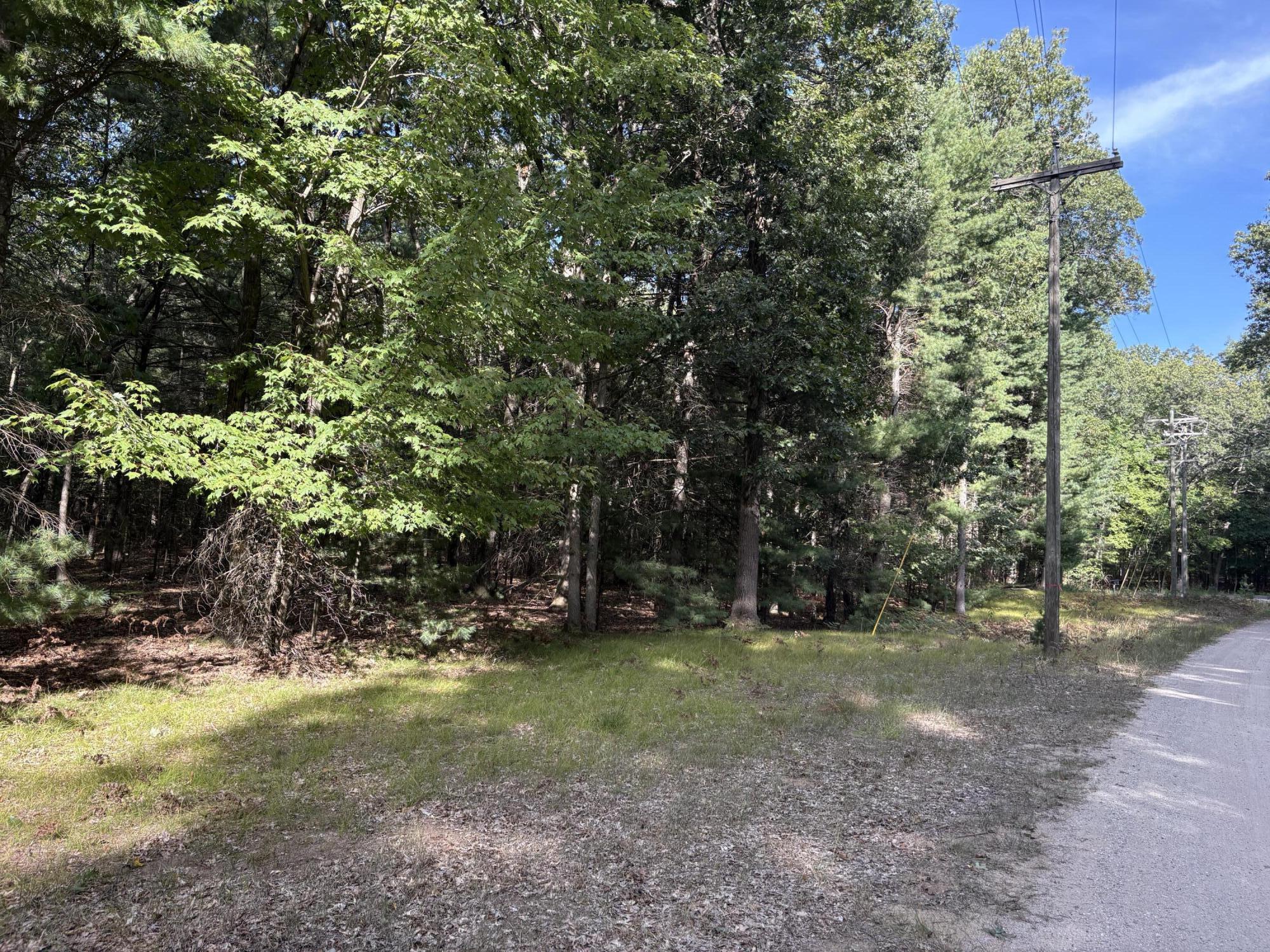 Lot 136 Wayne Avenue Property Photo 1