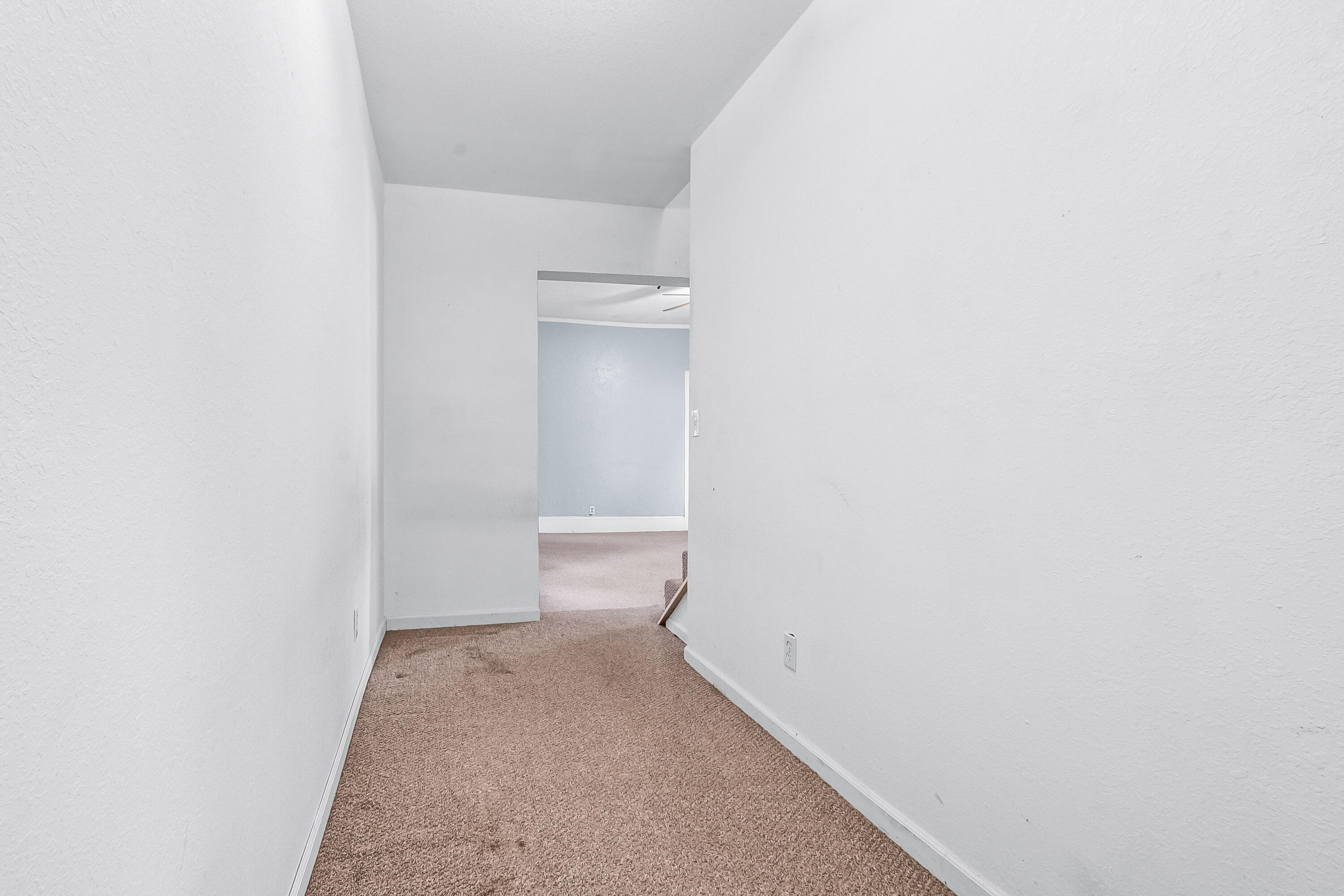 44 Hawley Street Property Photo 32