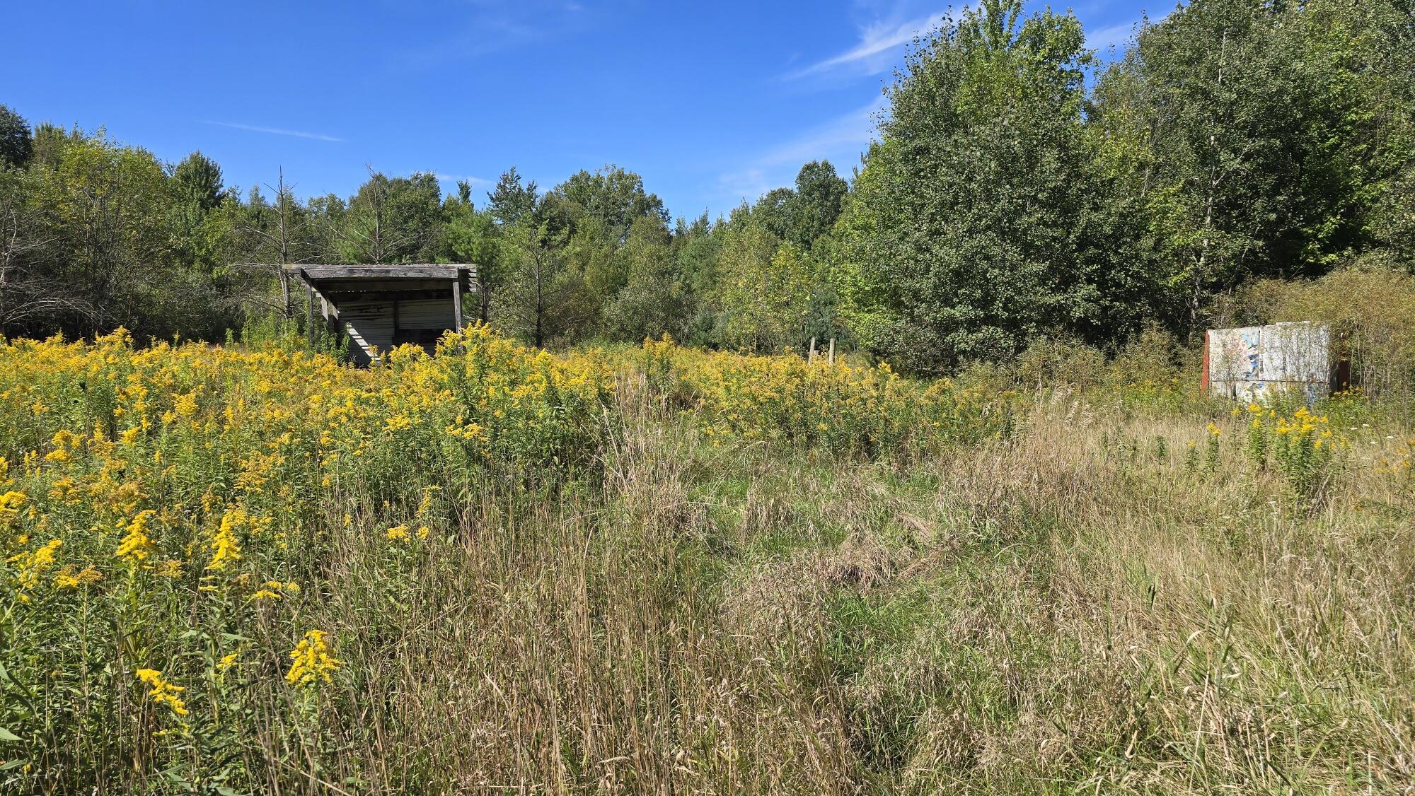 5065 Lorenson Road Property Photo 29