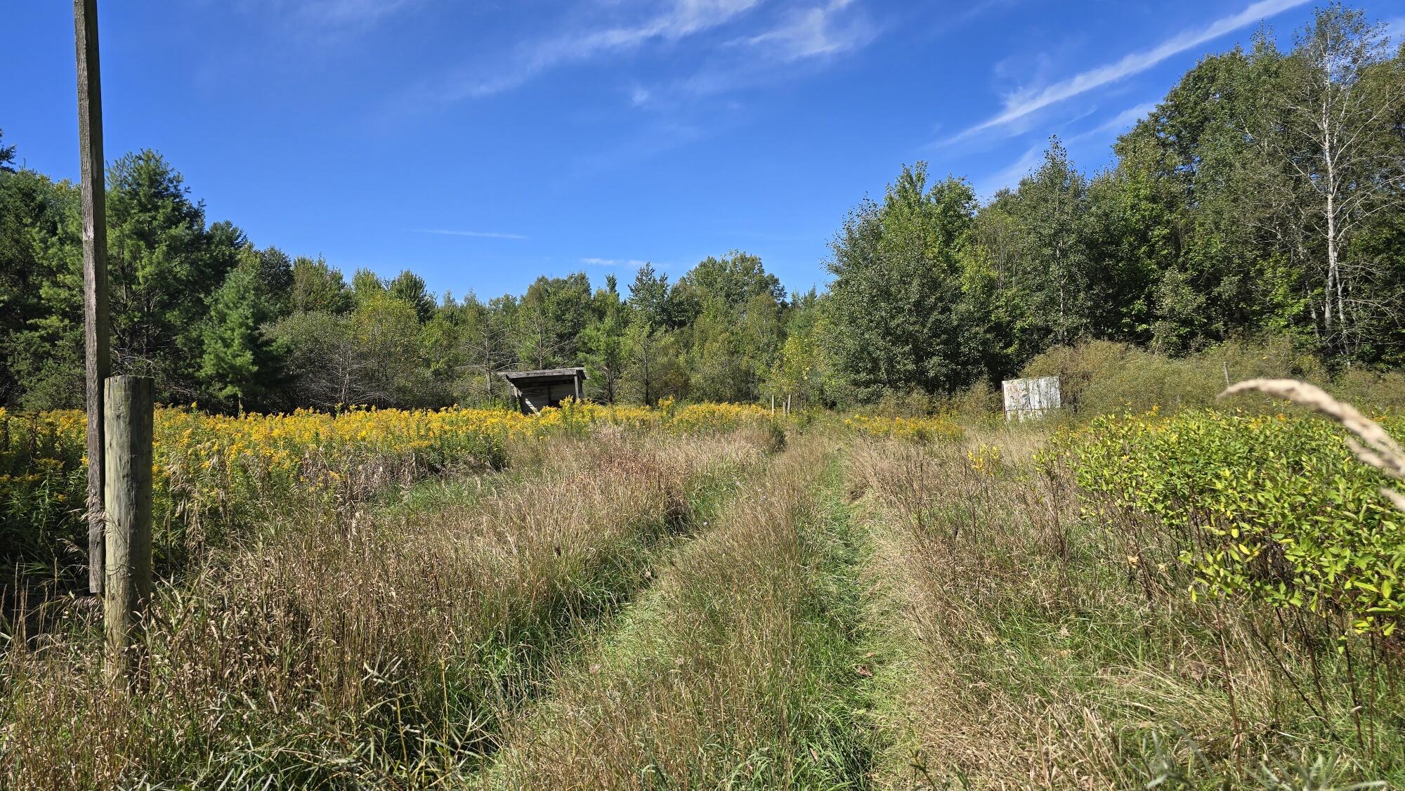 5065 Lorenson Road Property Photo 30
