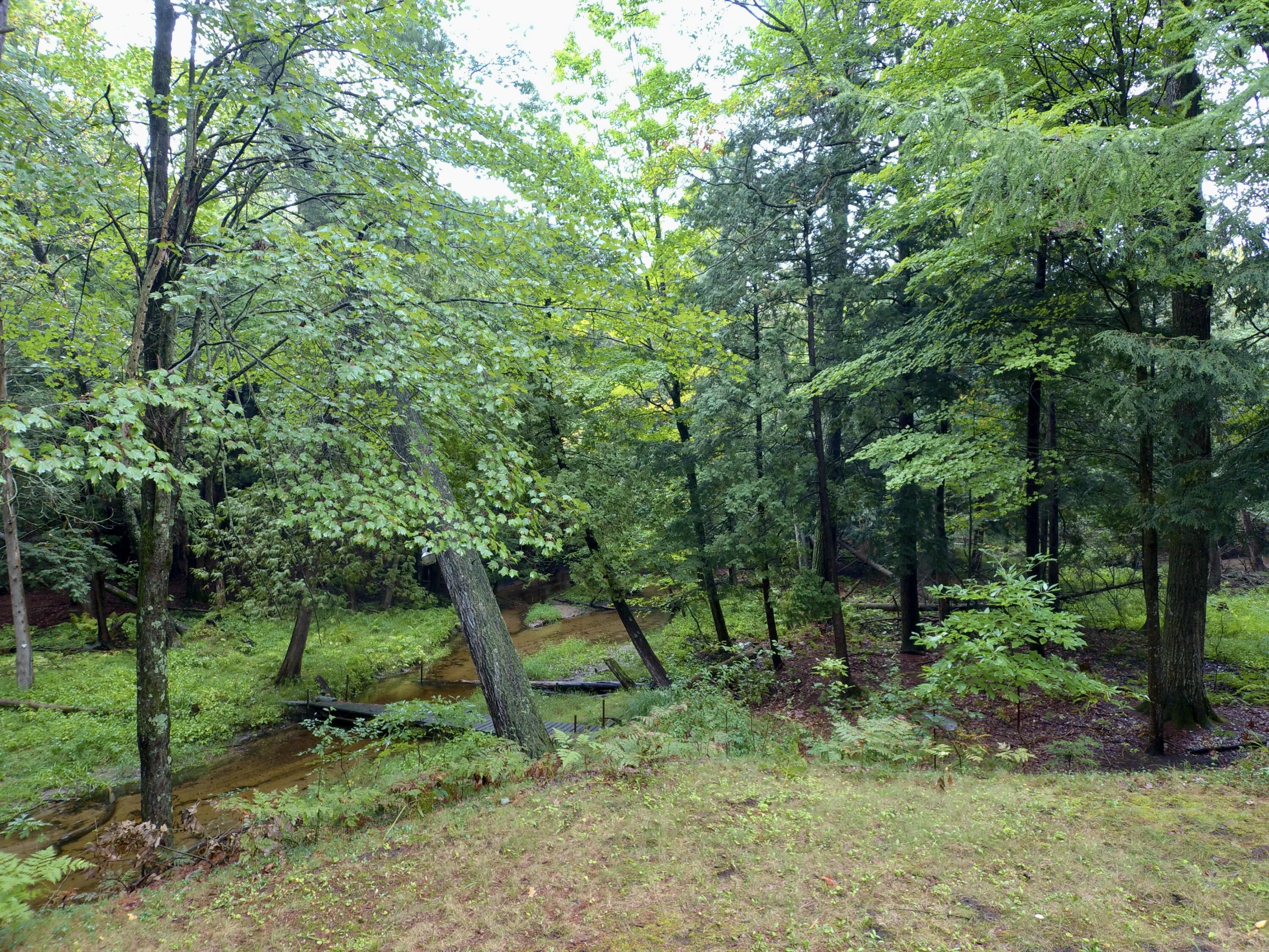 5556 E Filburn Road Property Photo 47