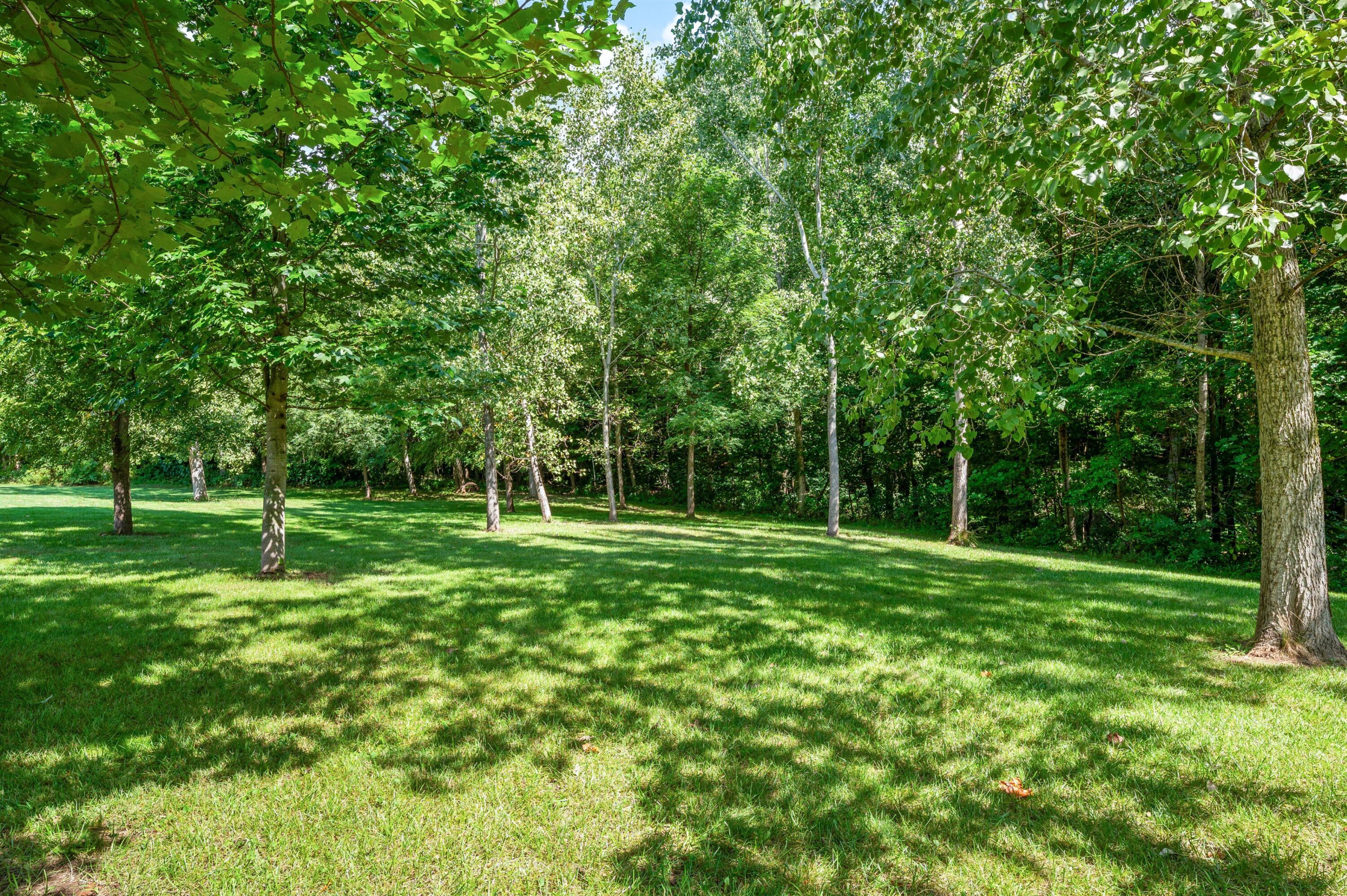 10582 Dana Drive Property Photo 72
