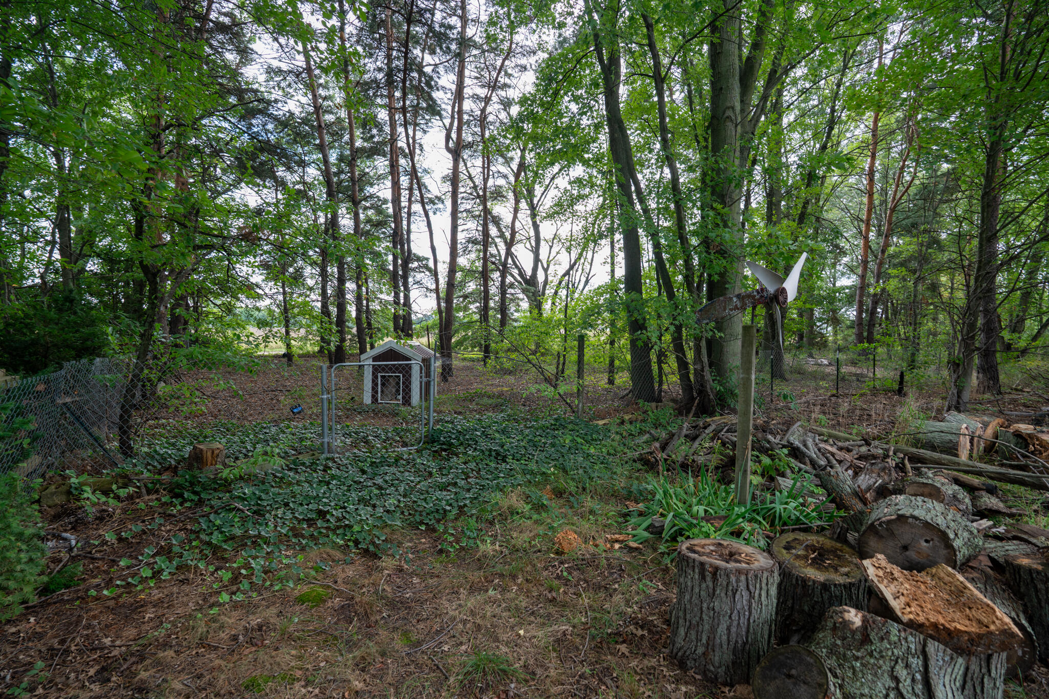 4241 136th Avenue Property Photo 66