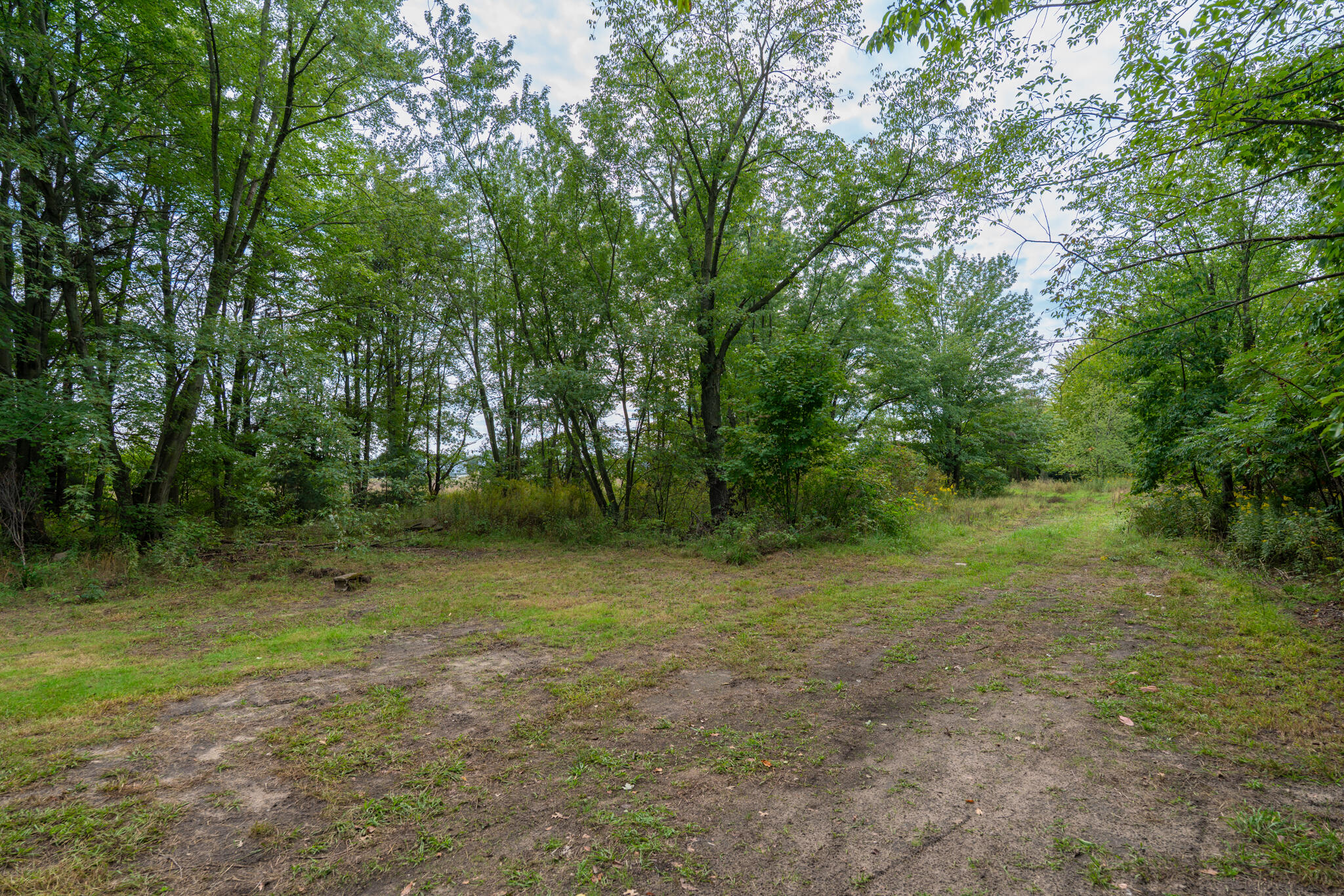 4241 136th Avenue Property Photo 67