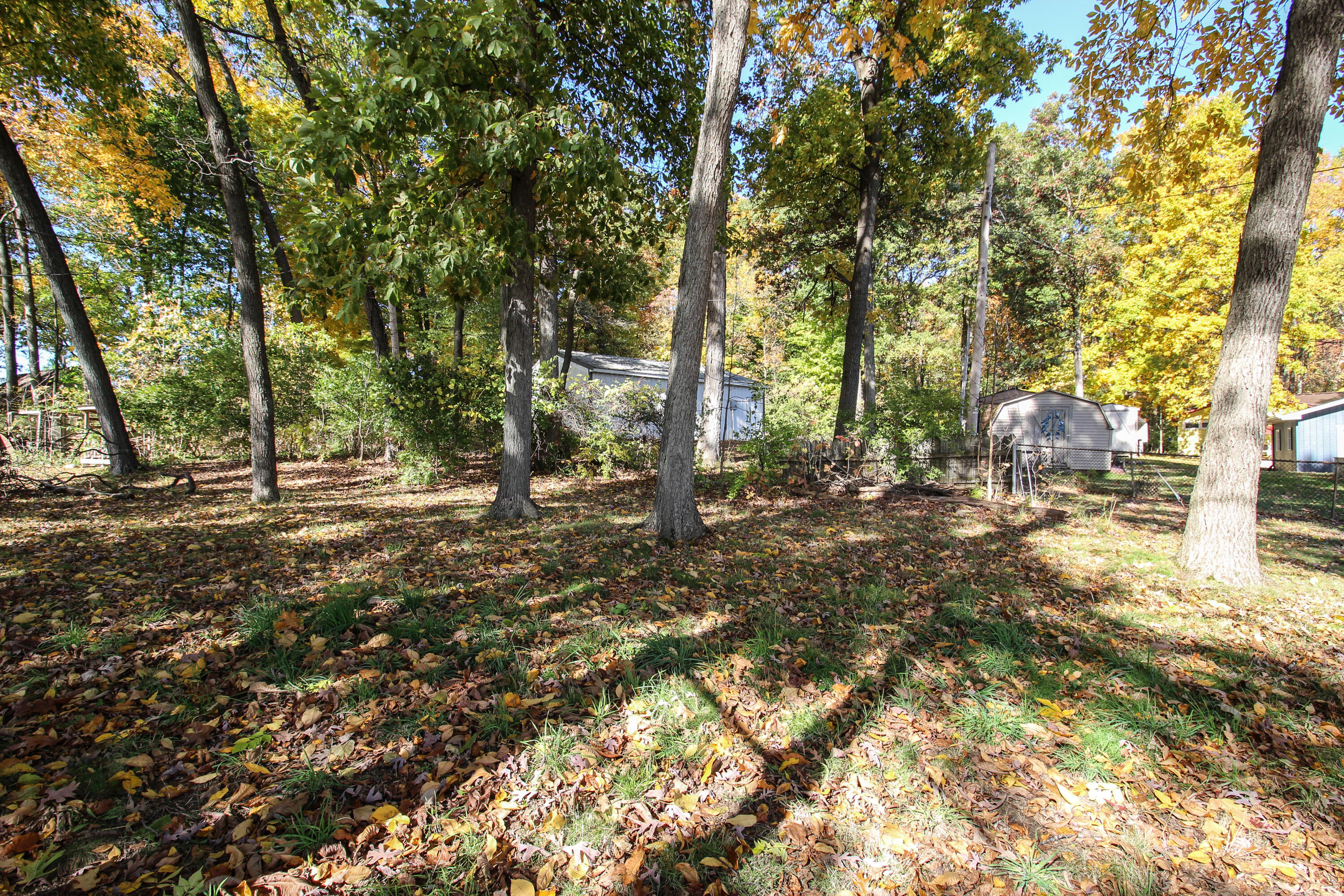 58463 Loop Road Property Photo 23