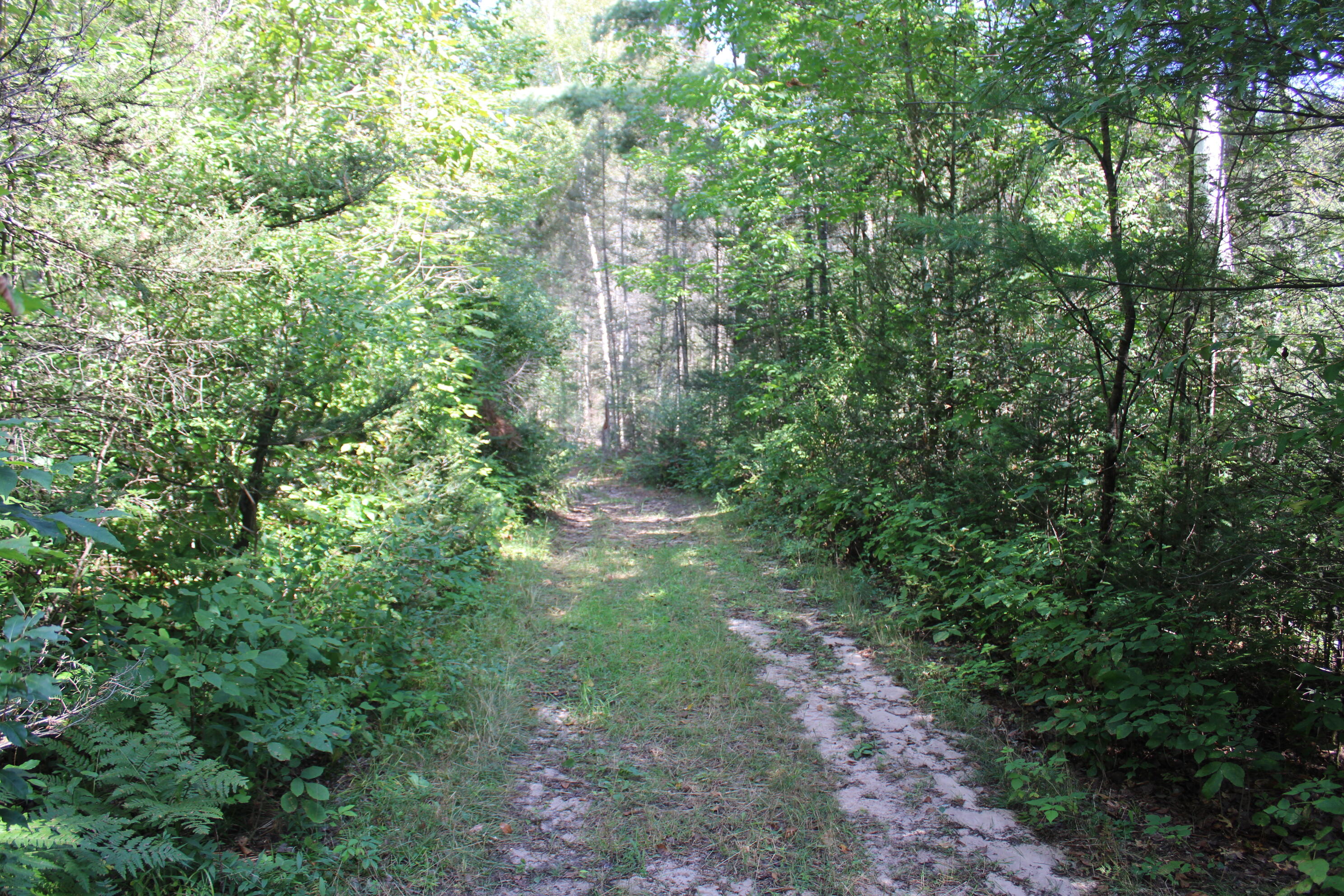 6720 W Welch Road Property Photo 126