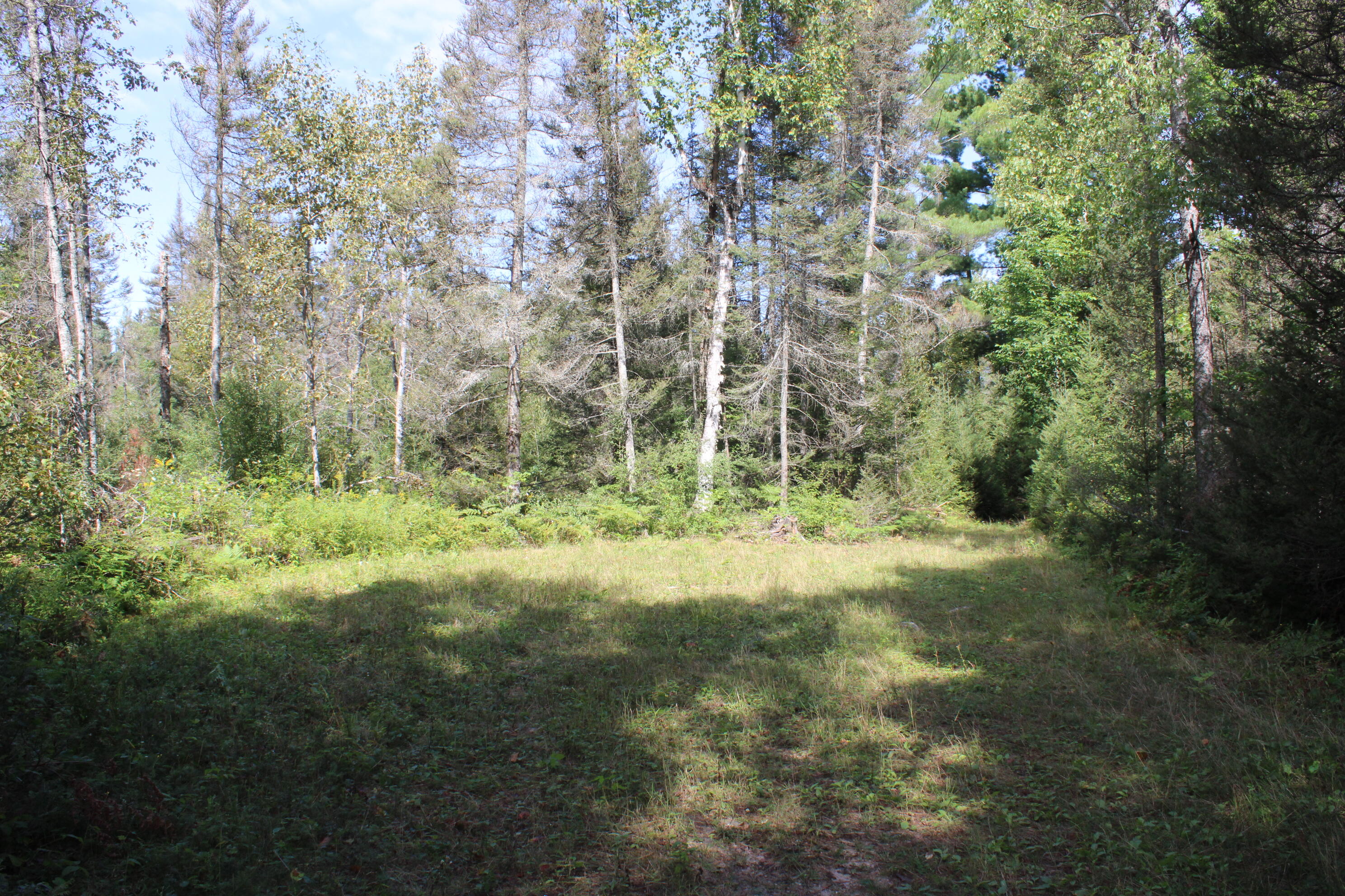 6720 W Welch Road Property Photo 127