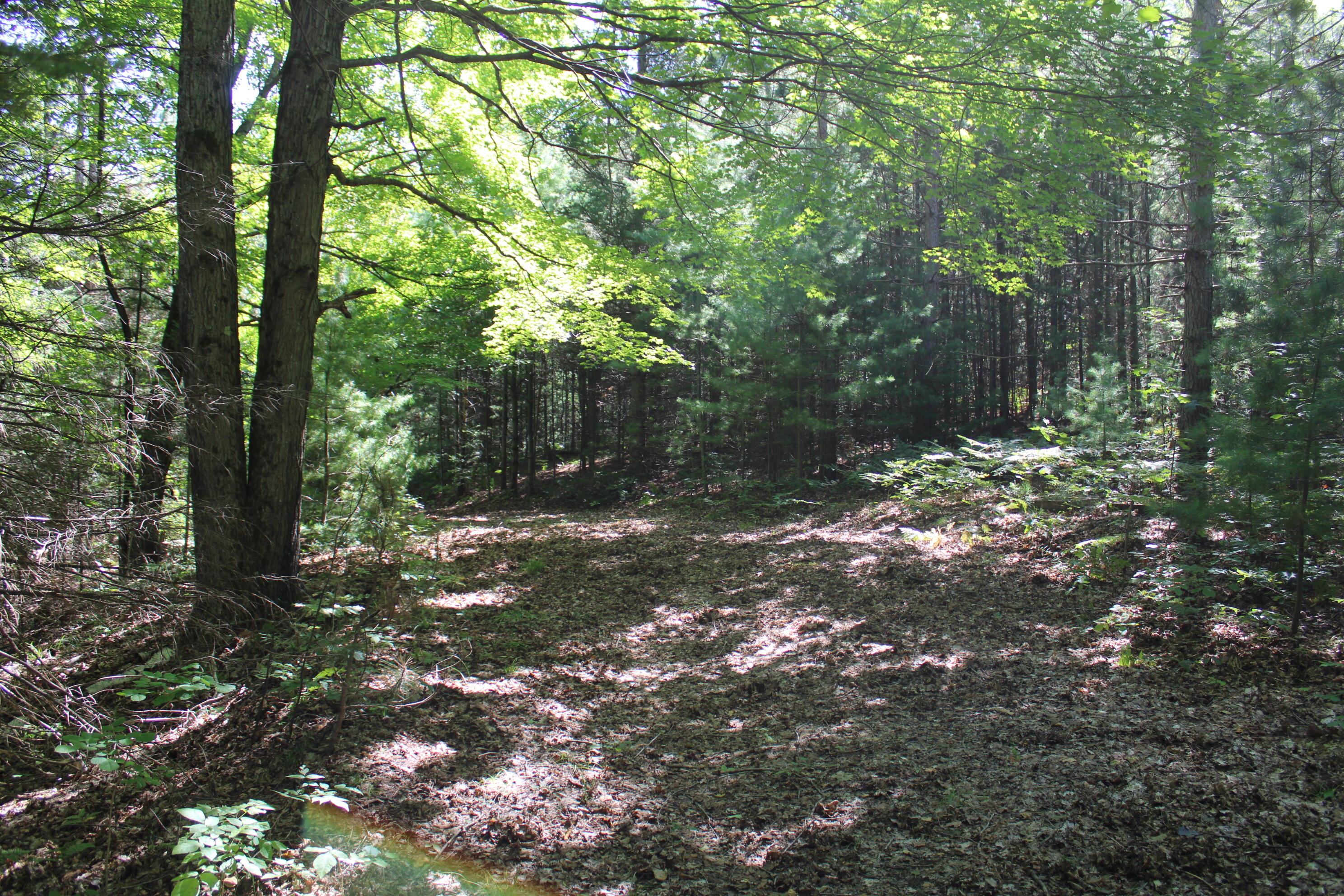 6720 W Welch Road Property Photo 134