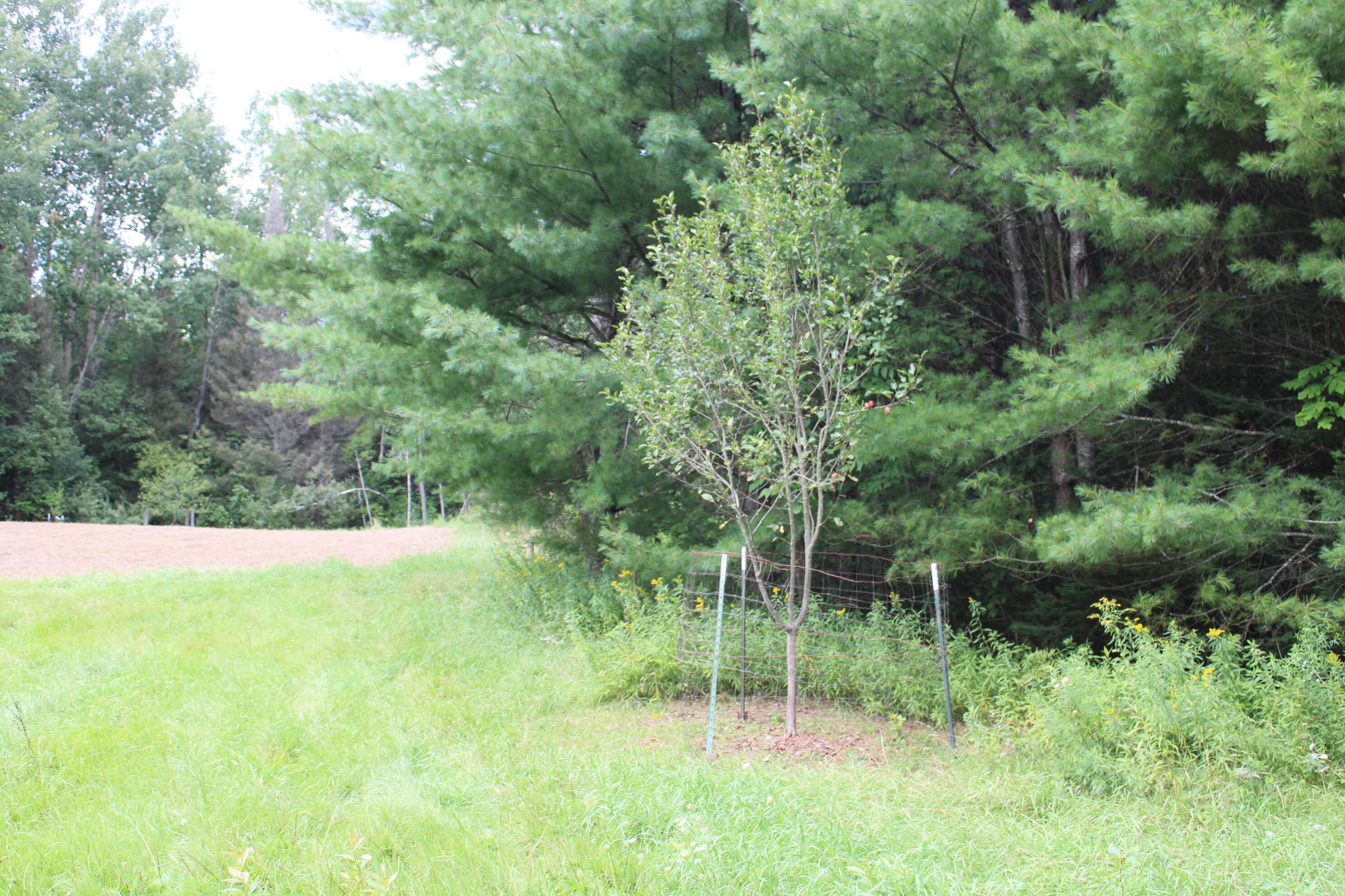 6720 W Welch Road Property Photo 138