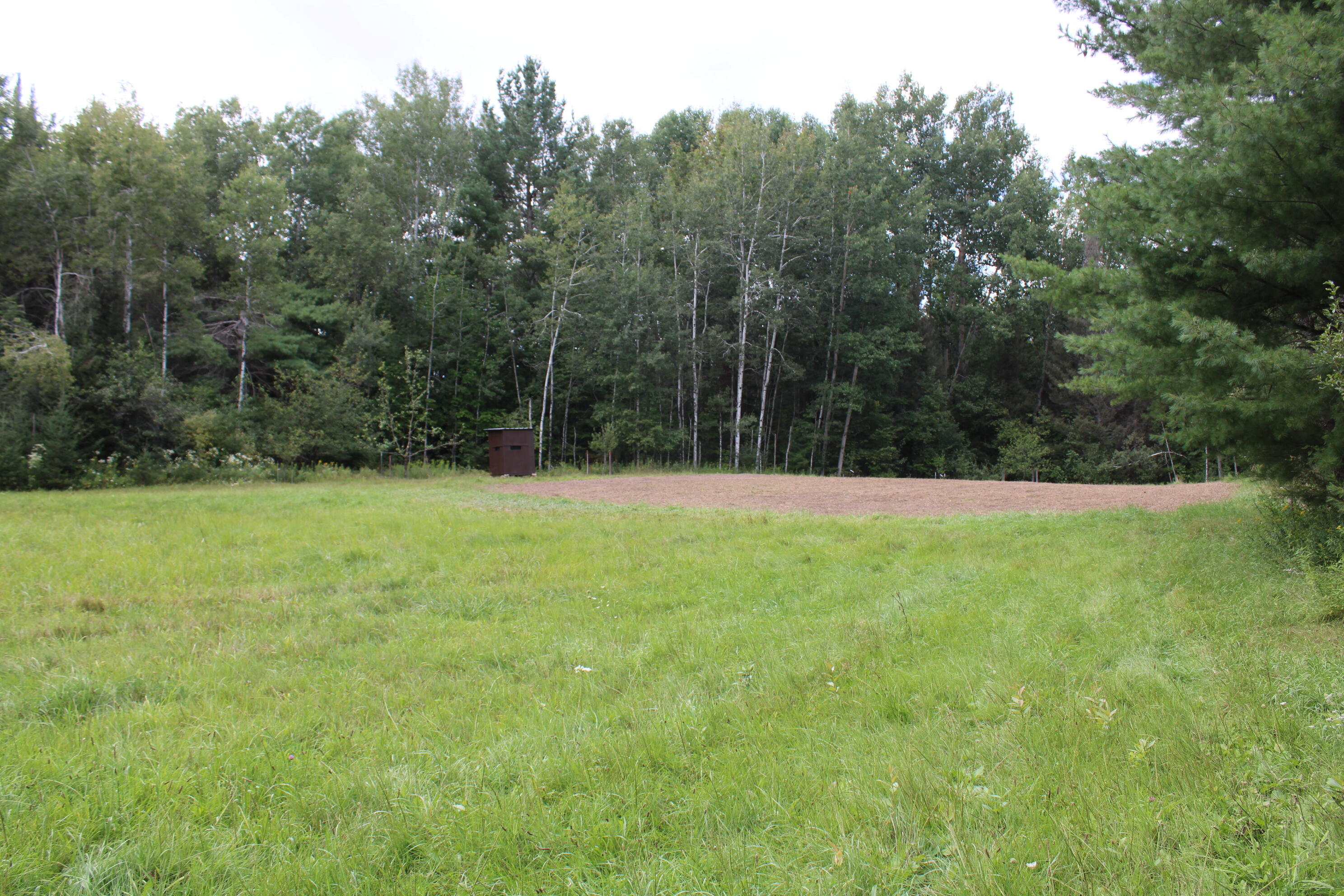 6720 W Welch Road Property Photo 139