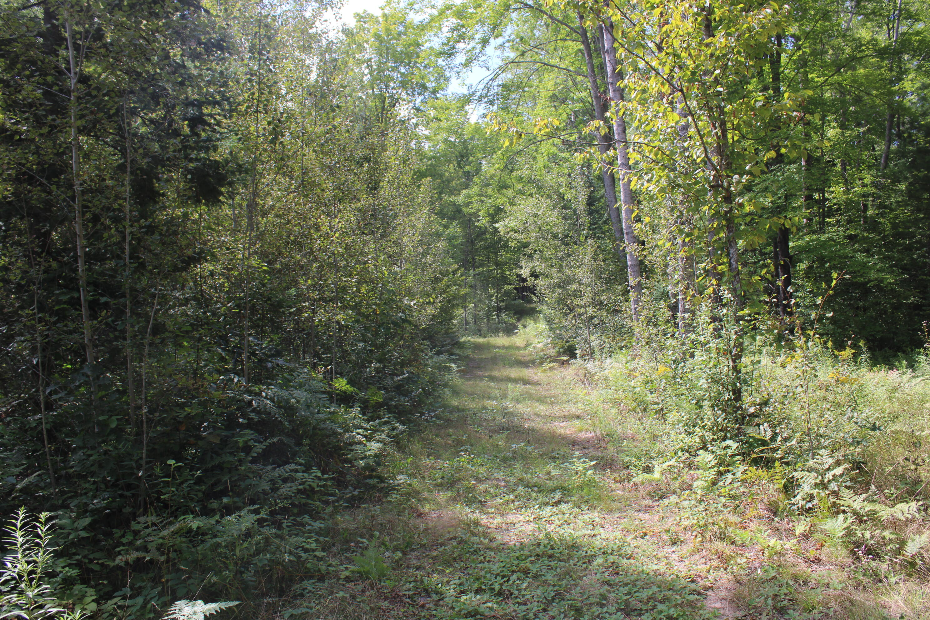 6720 W Welch Road Property Photo 149