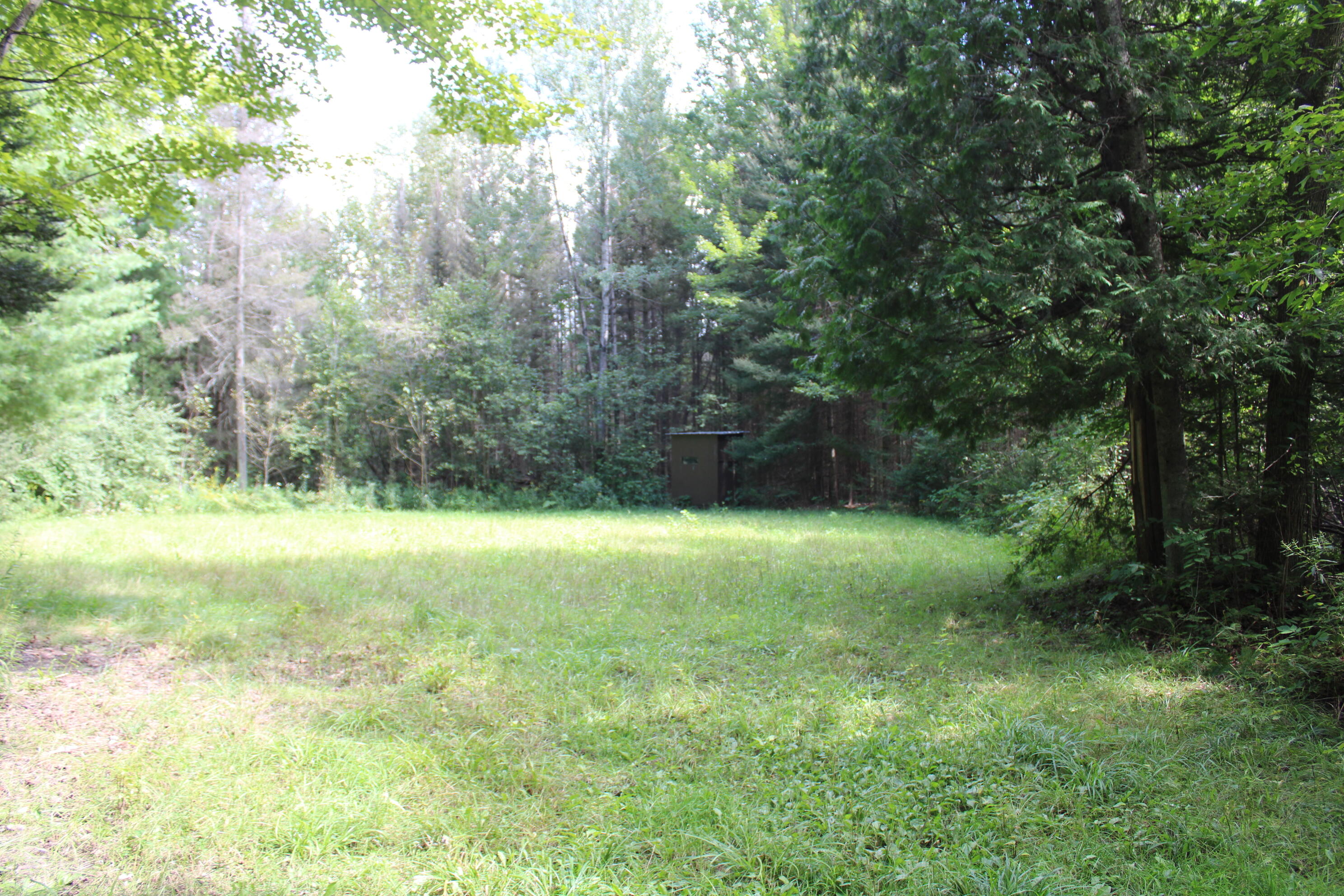 6720 W Welch Road Property Photo 151