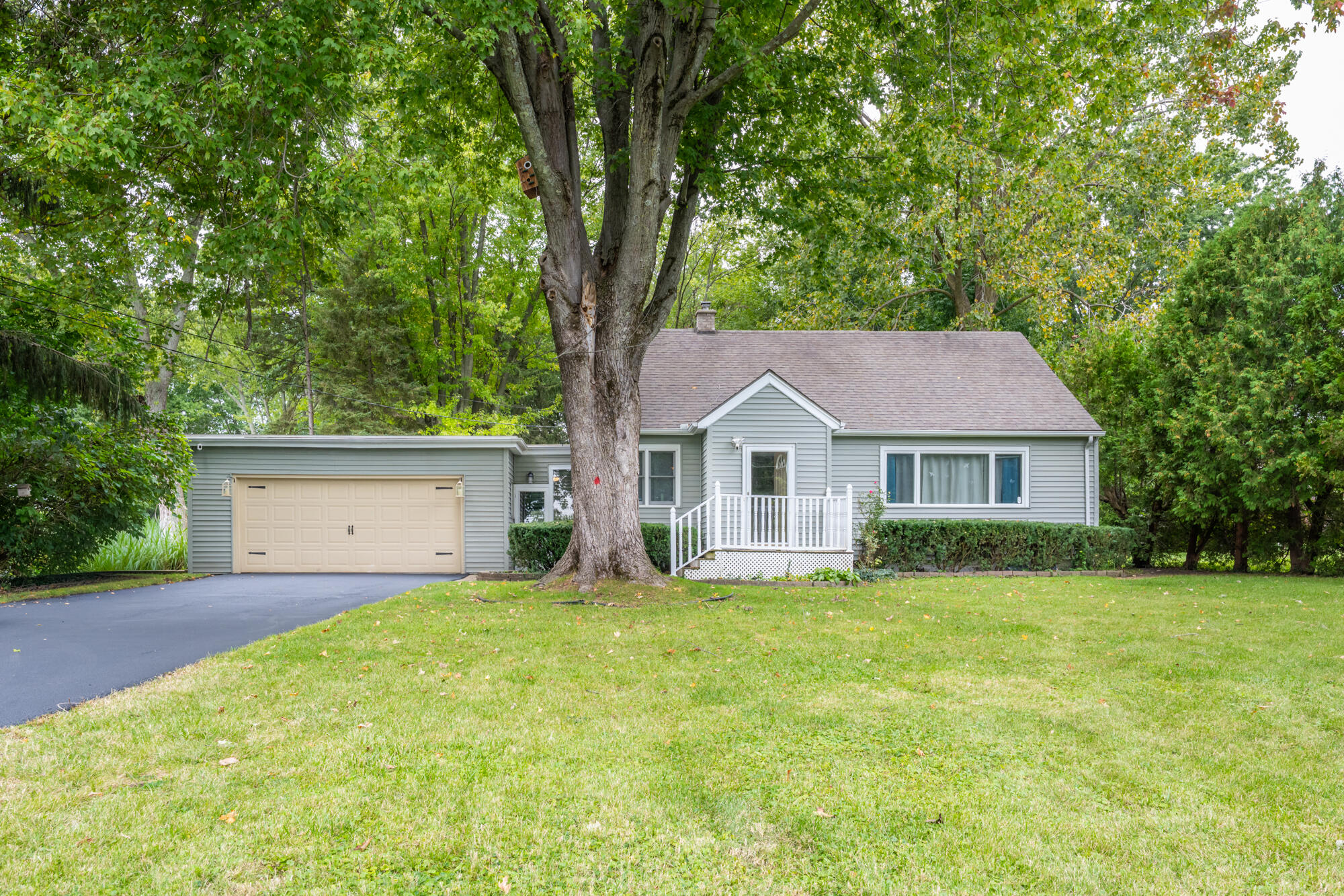 2286 Washington Avenue Property Photo 1
