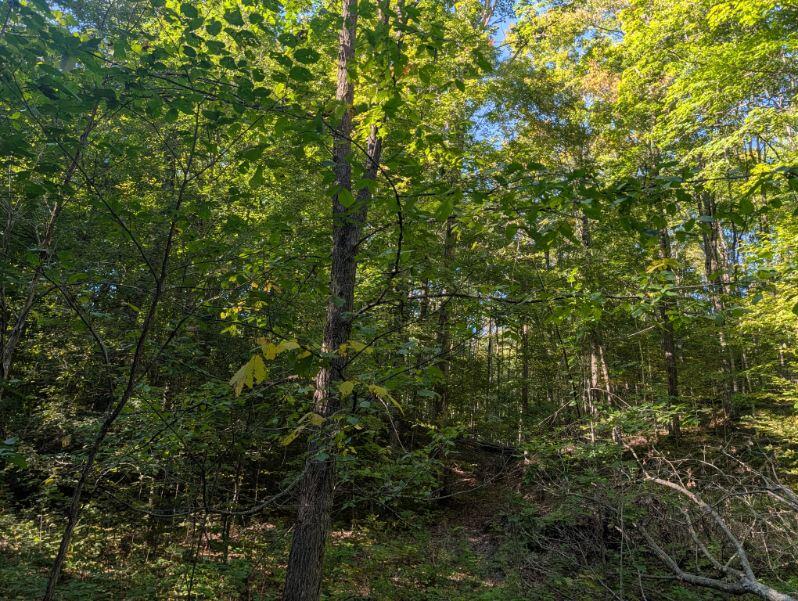 V/l Lewis Road Property Photo 1