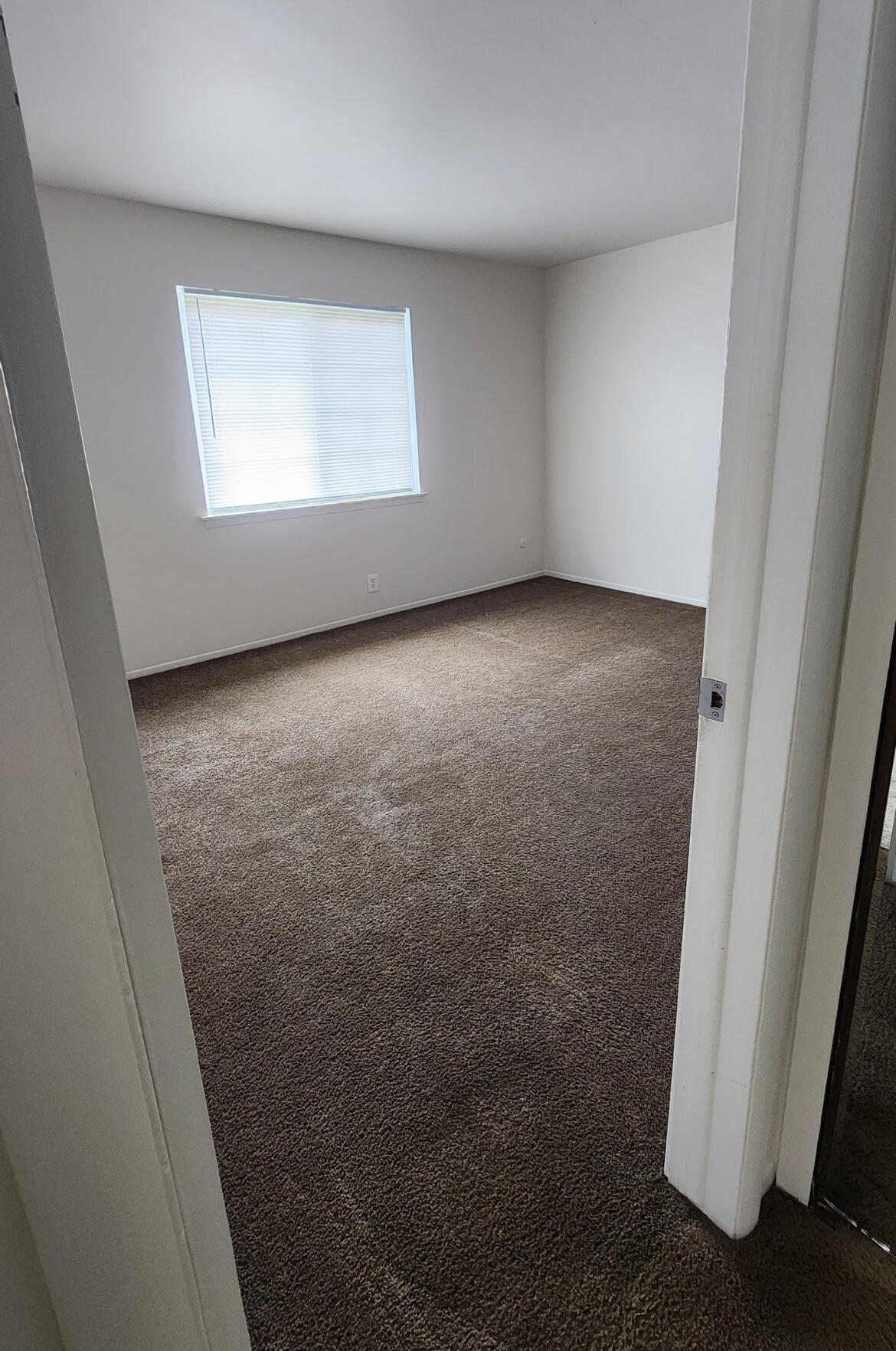 25341 Shiawassee Circle 201 Property Photo 9
