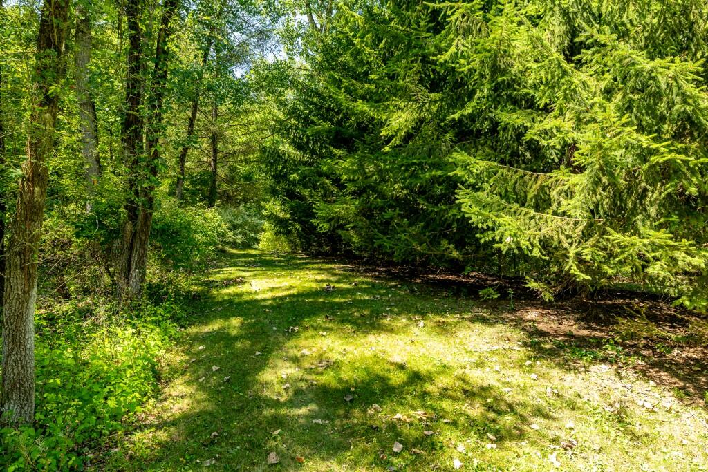 3447 River Pines Drive Property Photo 61