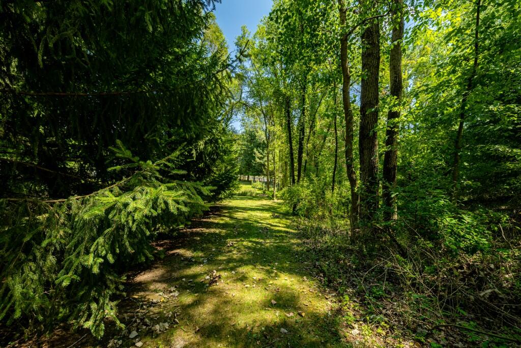 3447 River Pines Drive Property Photo 62