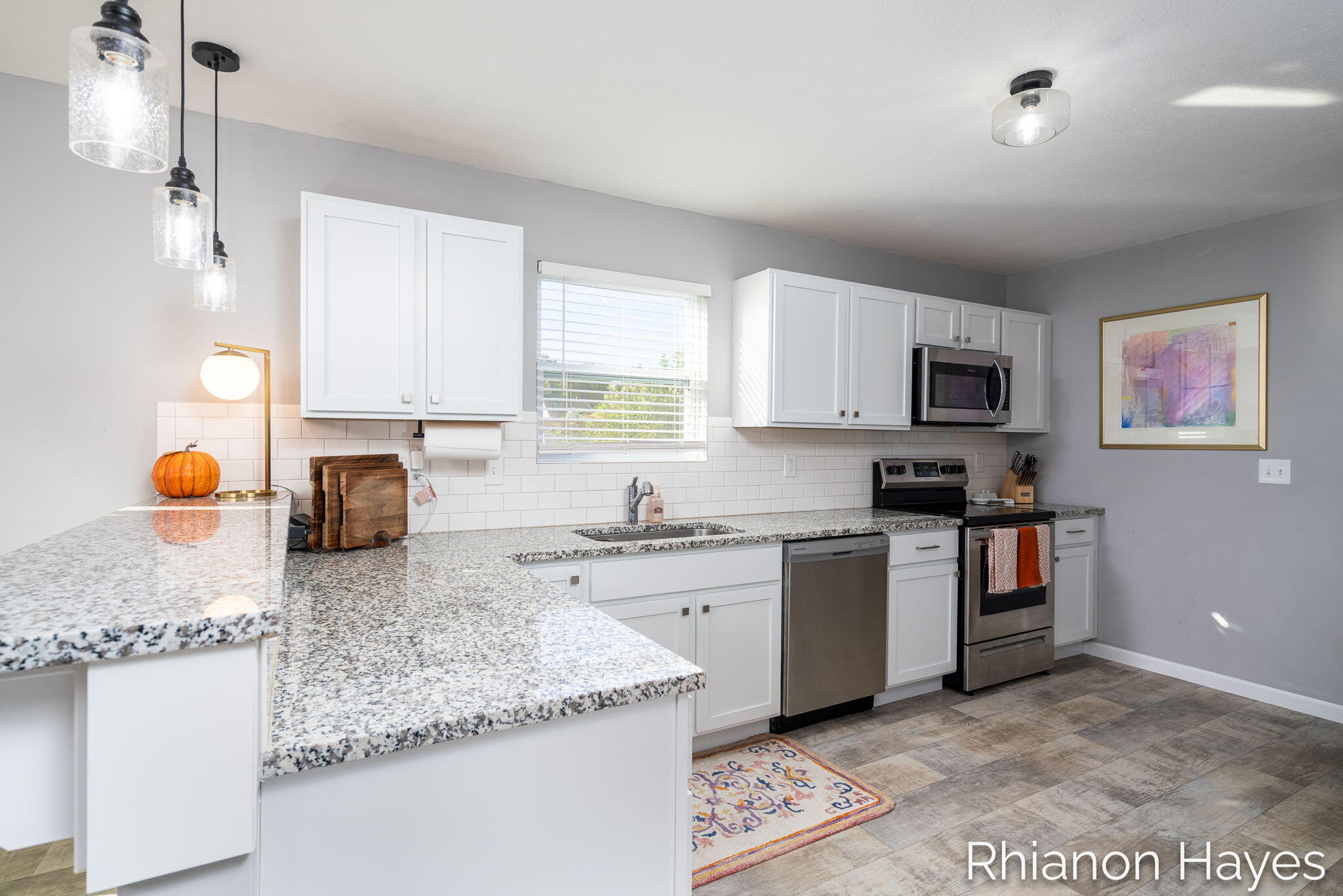 10894 Vine Leaf Circle Property Photo 8