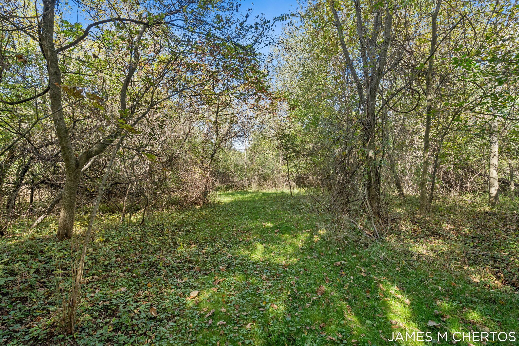8283 Deer Valley Drive Se Property Photo 49