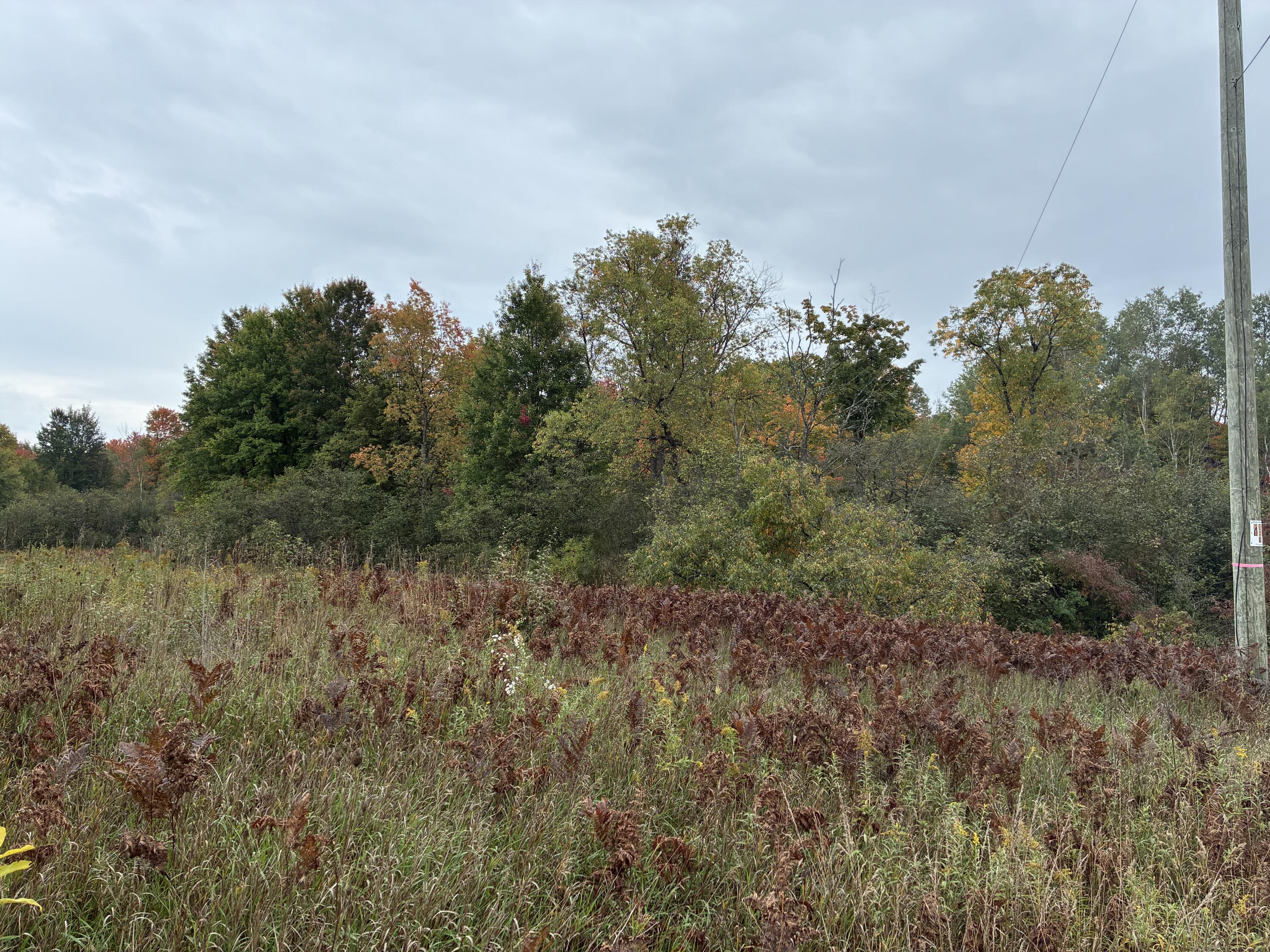 10430 N Elm Avenue Property Photo 1
