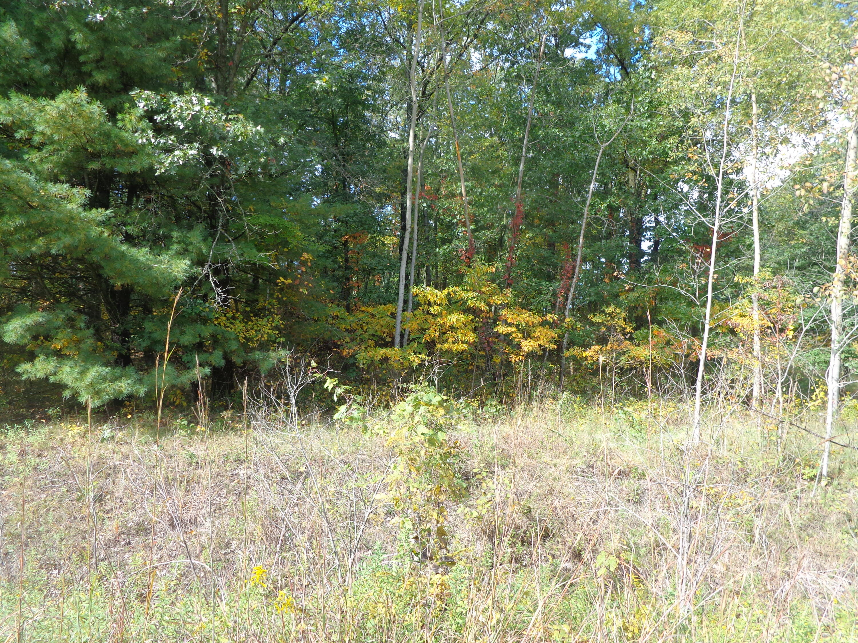 Parcel B 109th Avenue Property Photo 2