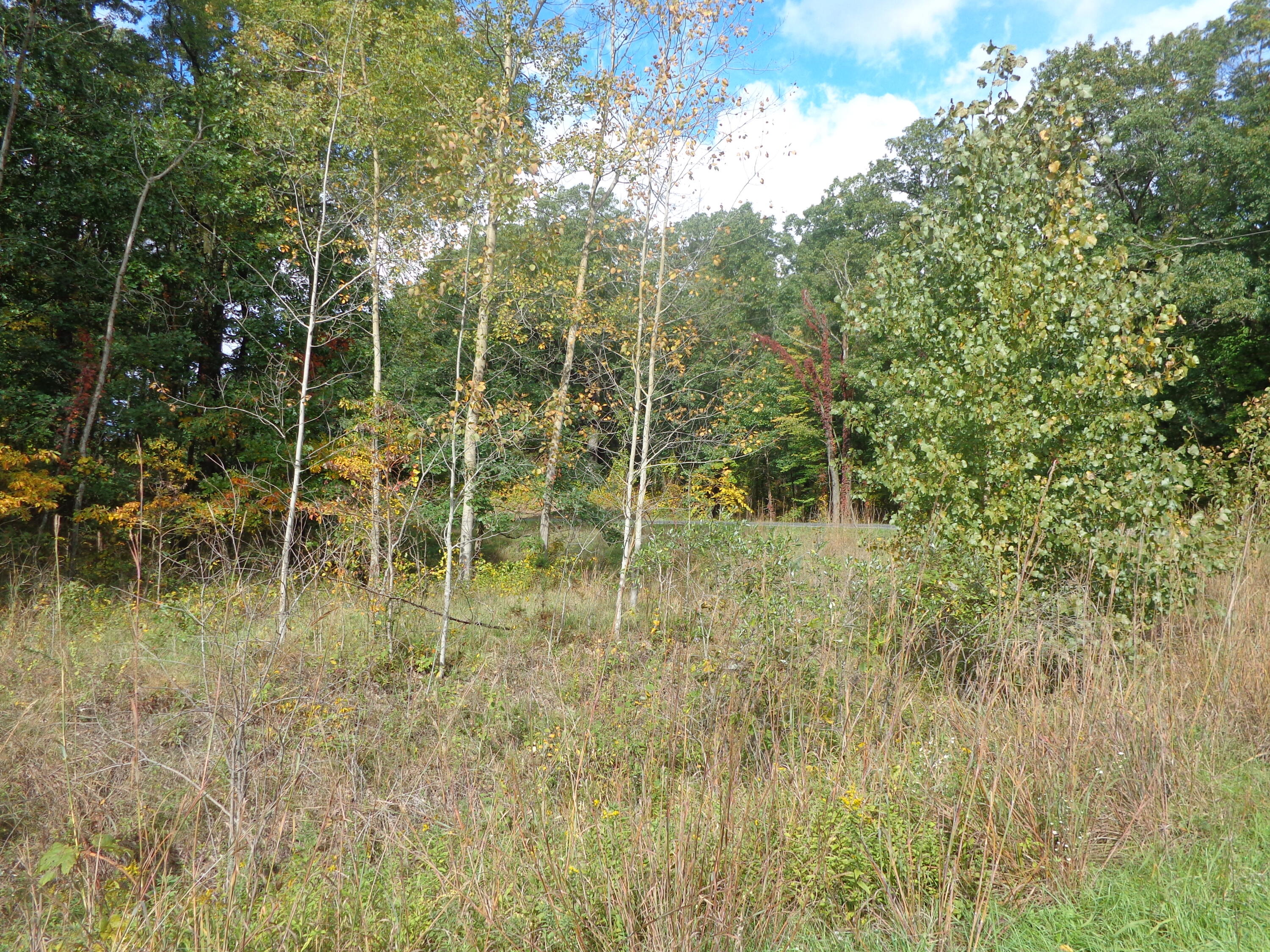 Parcel B 109th Avenue Property Photo 3