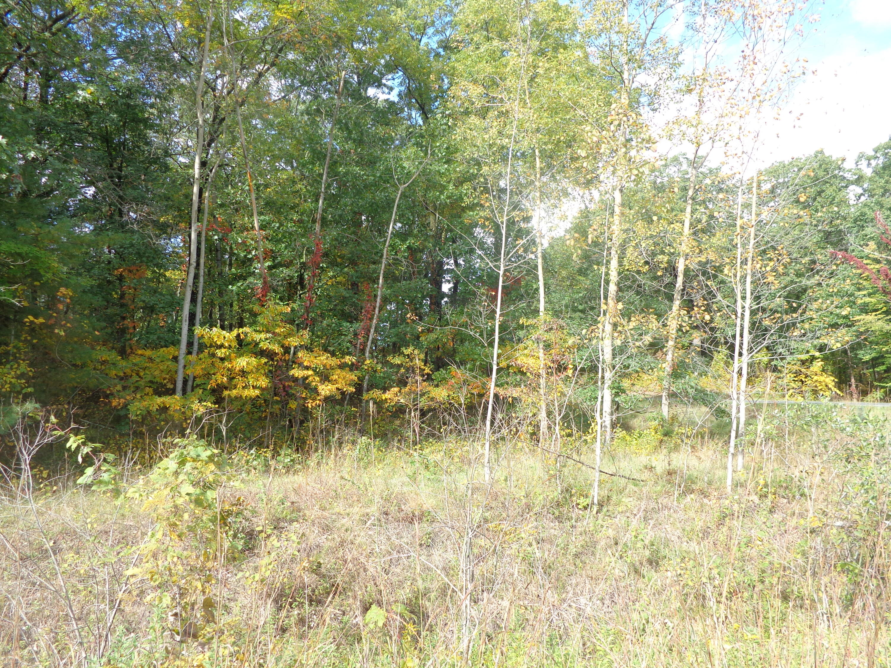Parcel B 109th Avenue Property Photo 4