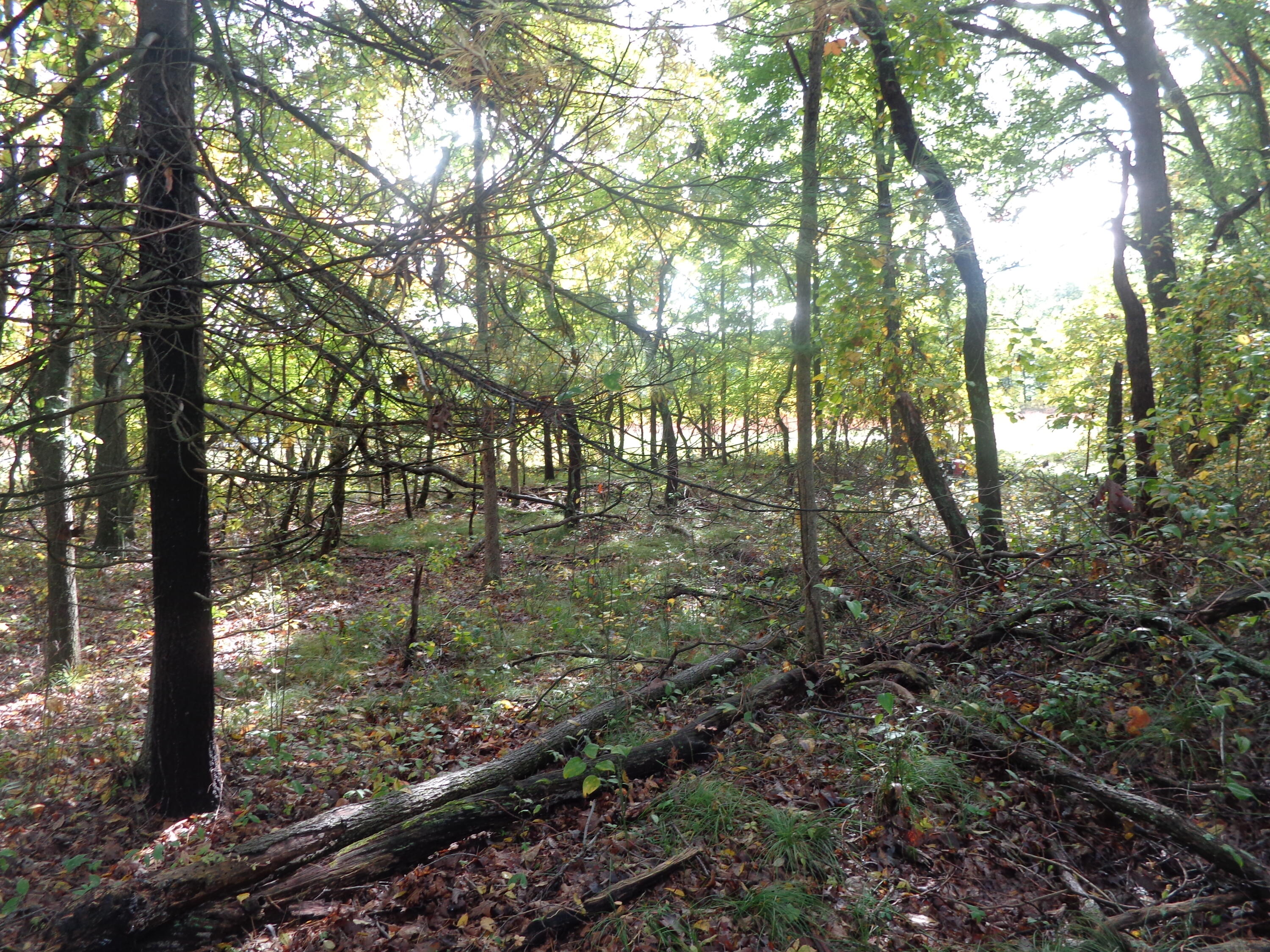 Parcel B 109th Avenue Property Photo 7
