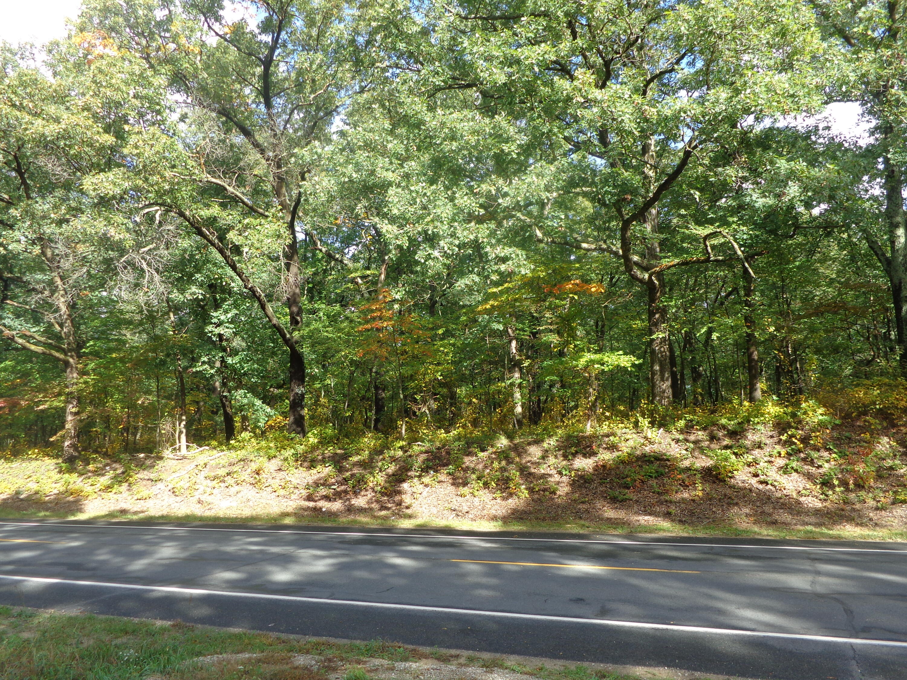 Parcel B 109th Avenue Property Photo 11