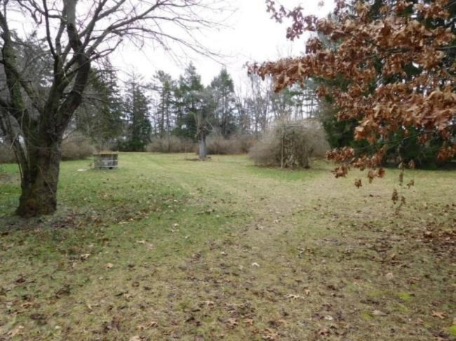 3966 Red Arrow Highway Property Photo 4