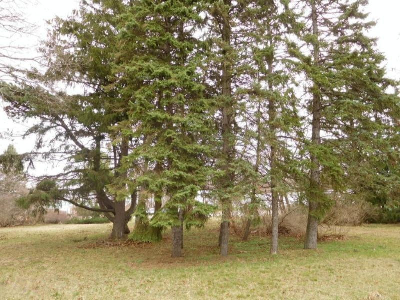 3966 Red Arrow Highway Property Photo 6