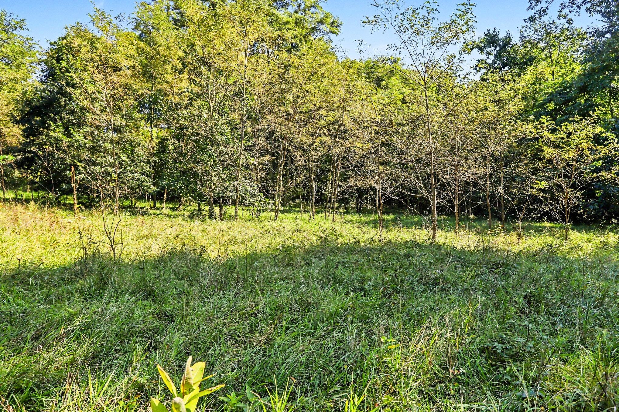 00000 Hoshel Road Property Photo 4